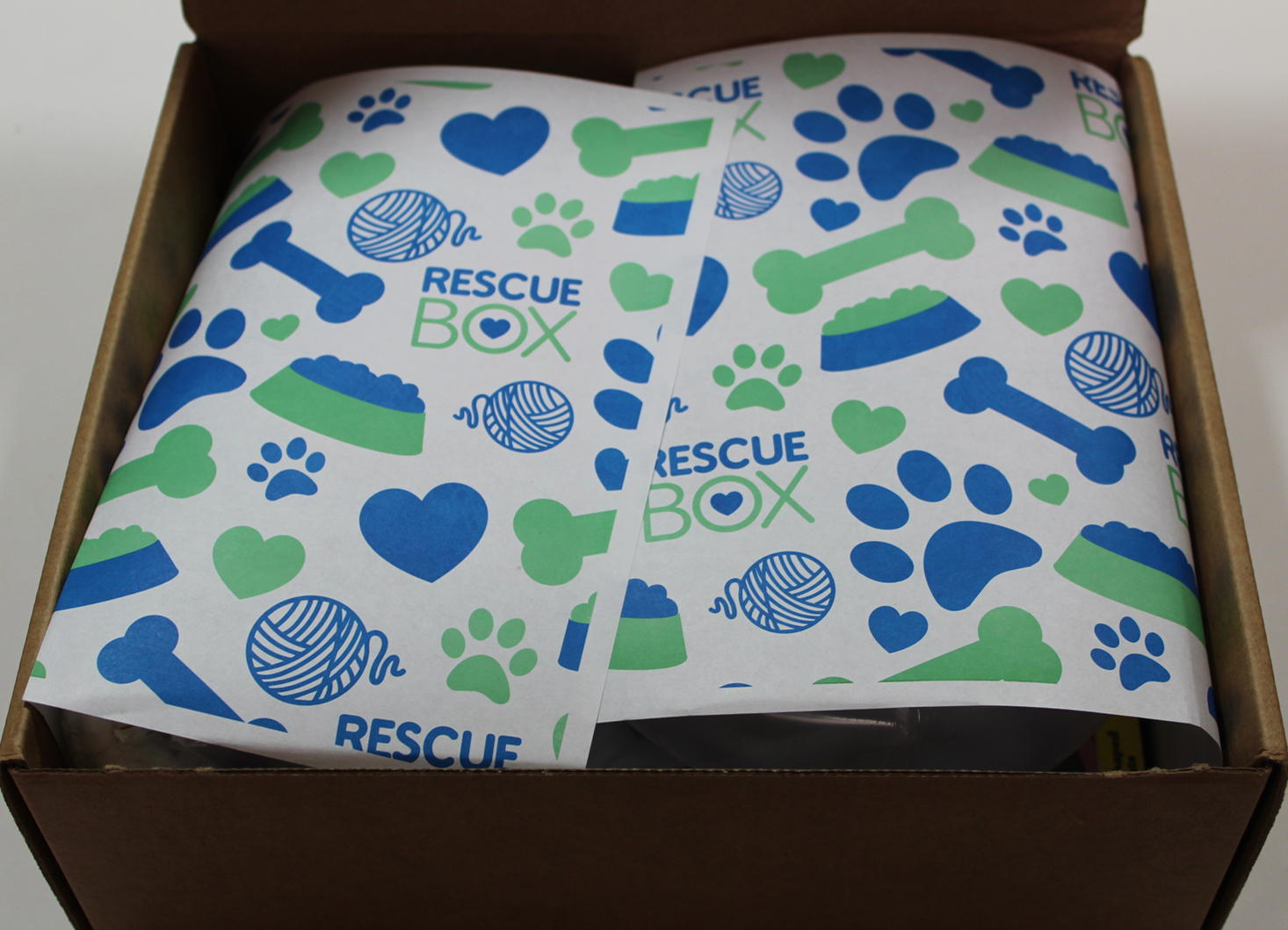 rescue-box-march-2017-inside1