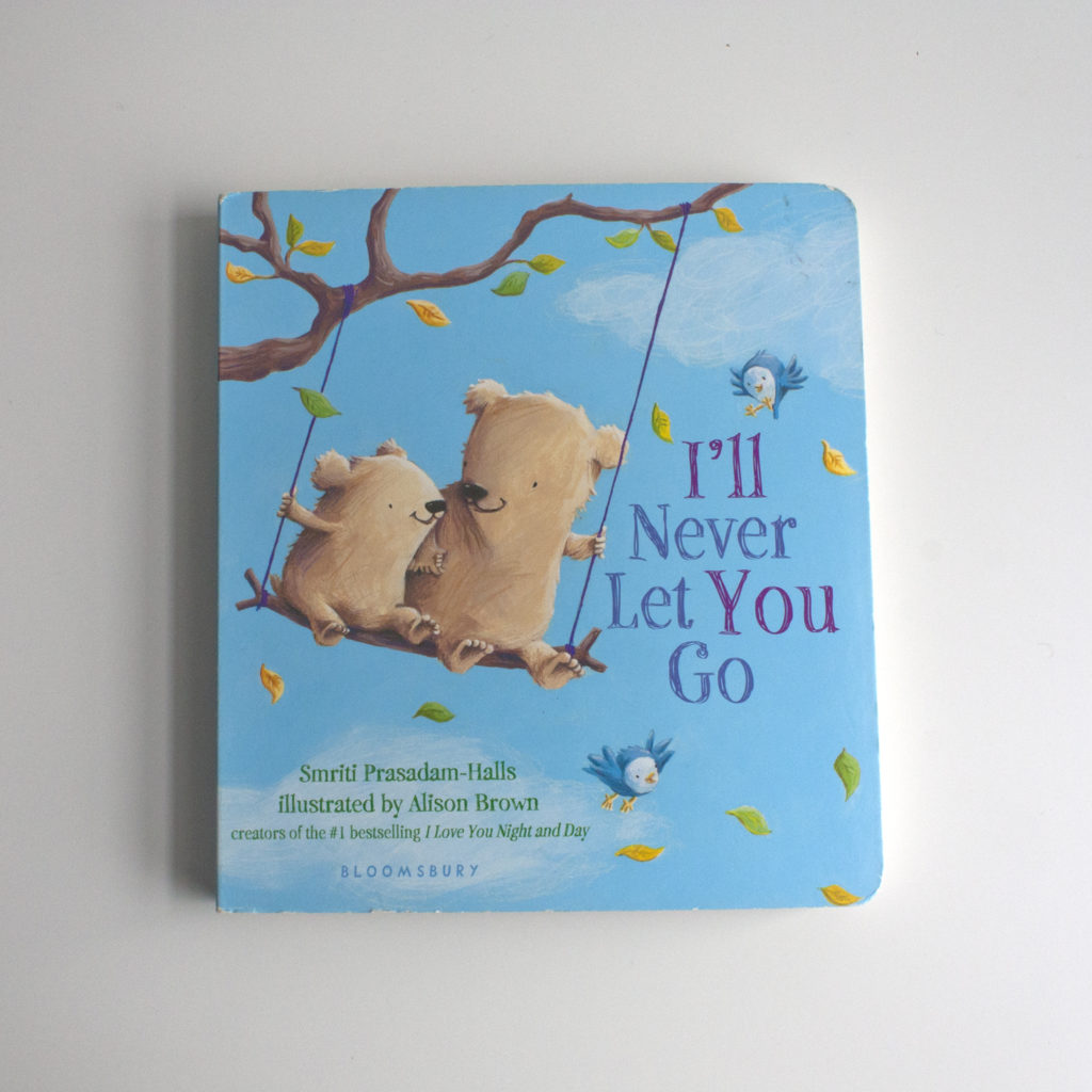 storybook_board_book_box_january_2017_never_let_you_go_book