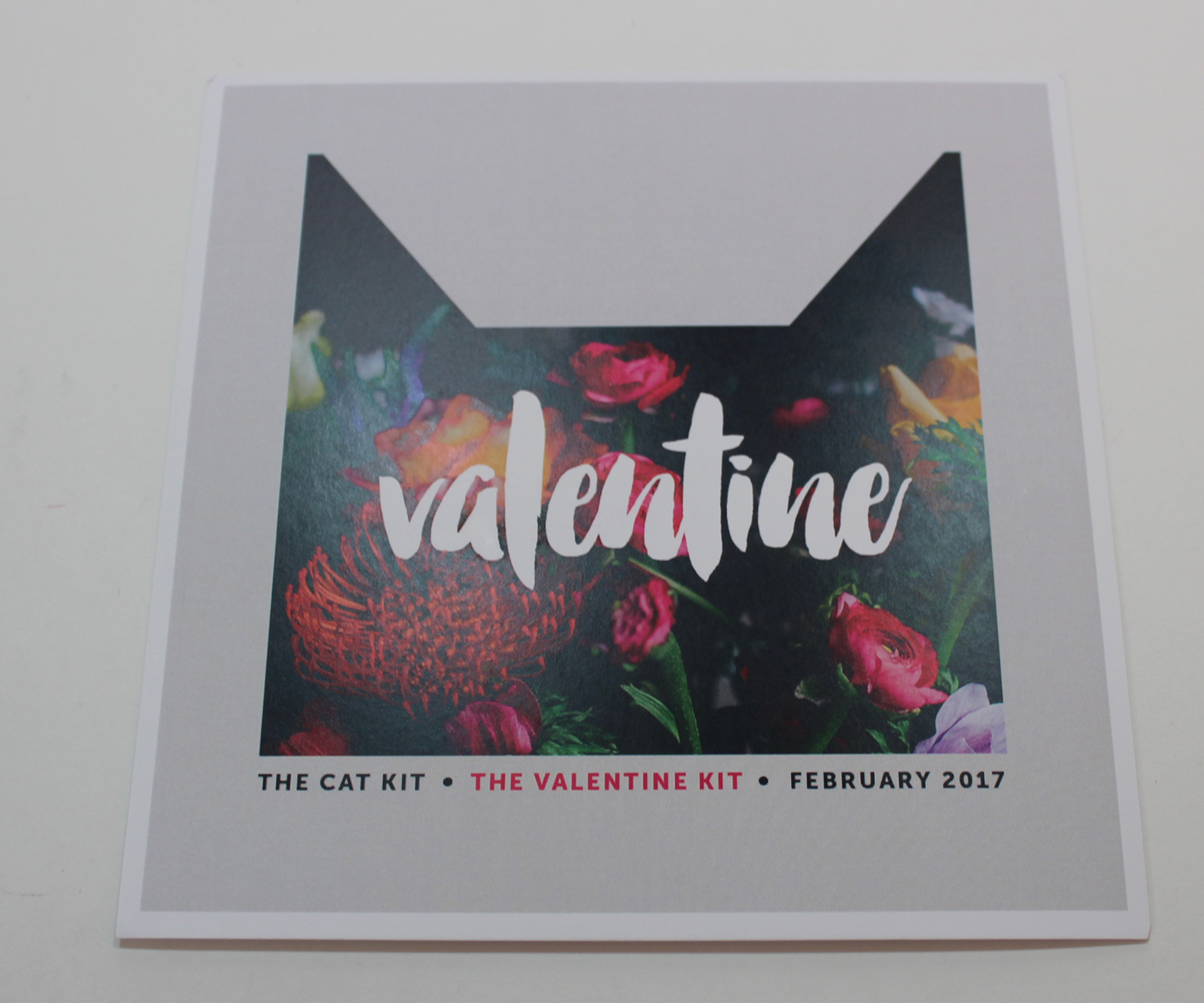 the-cat-kit-february-2017-booklet-front