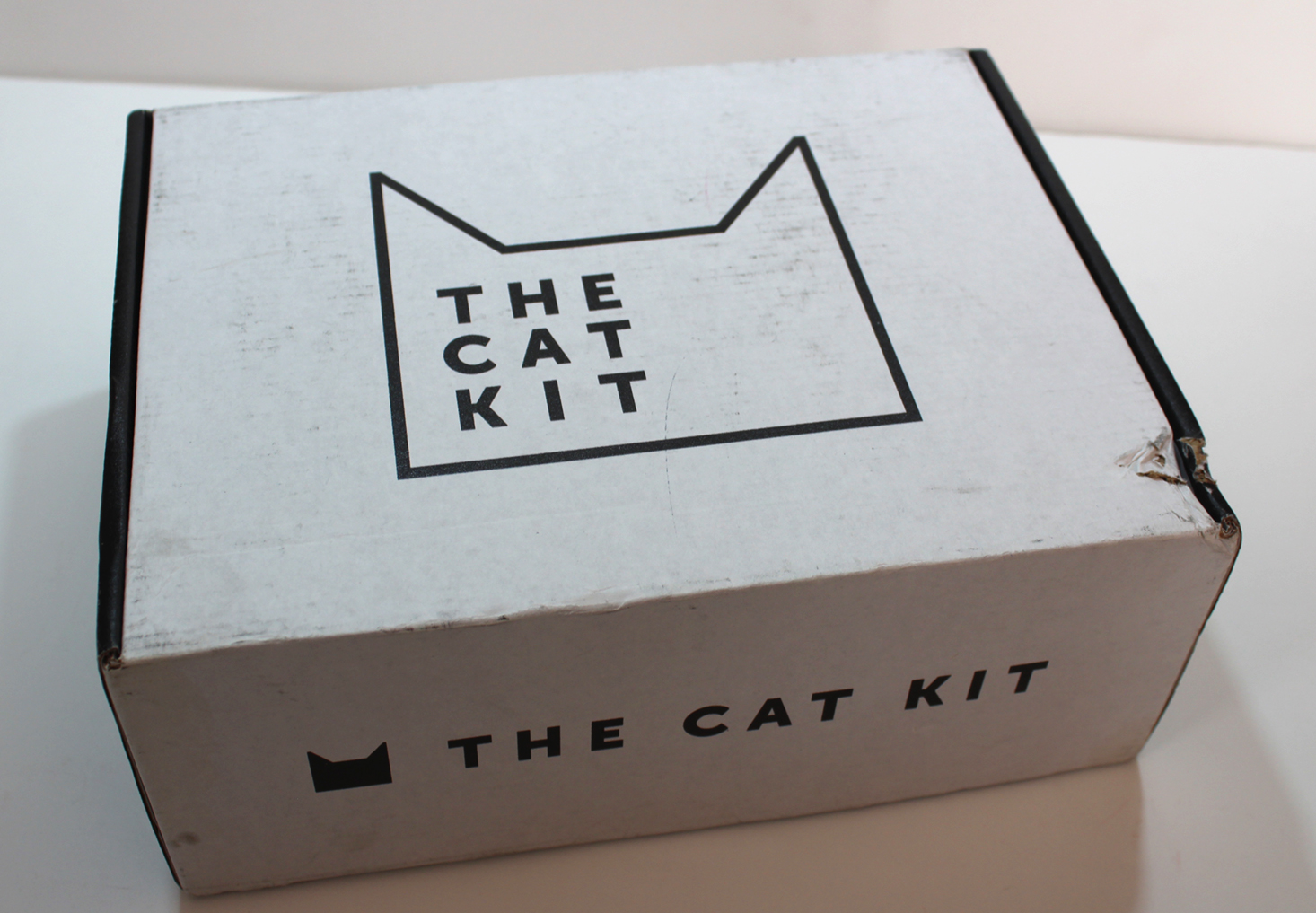 The Cat Kit Subscription Box Review + Coupon – February 2017