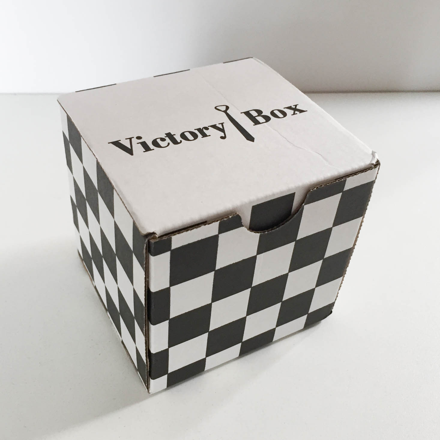 VictoryBox Subscription Review + Coupon – February 2017