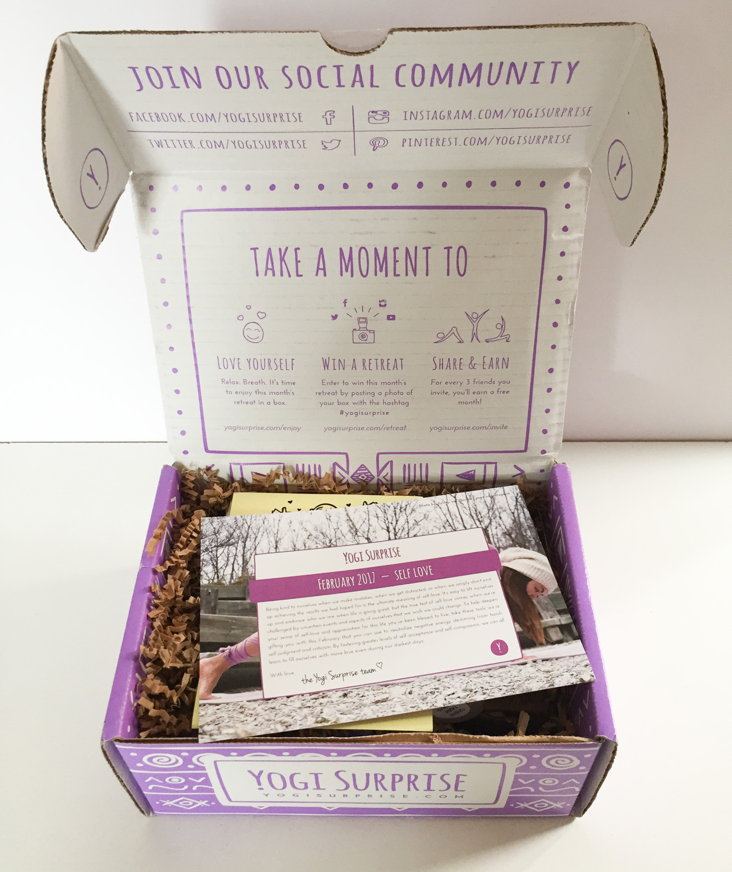 yogi-surprise-february-2017-box-inside