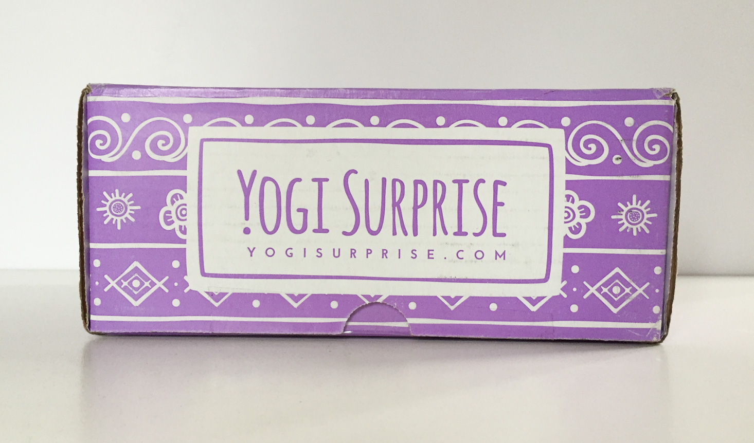 yogi-surprise-february-2017-box