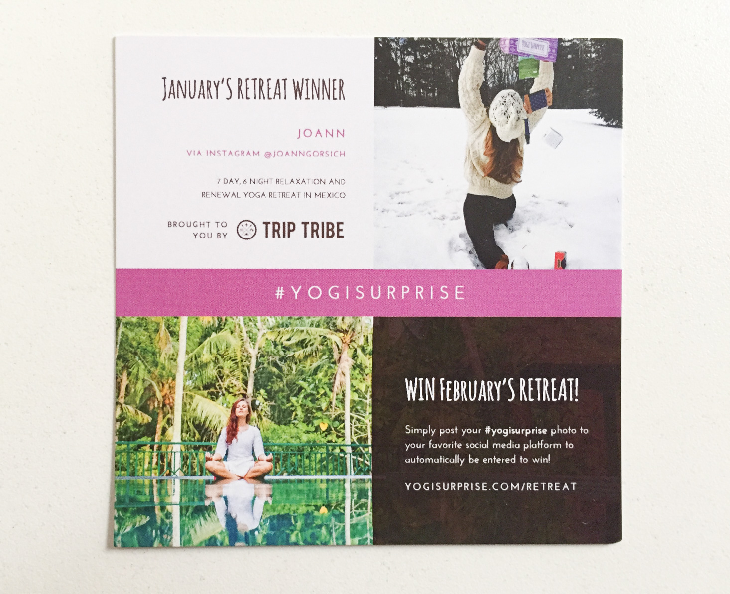 yogi-surprise-february-2017-giveaway