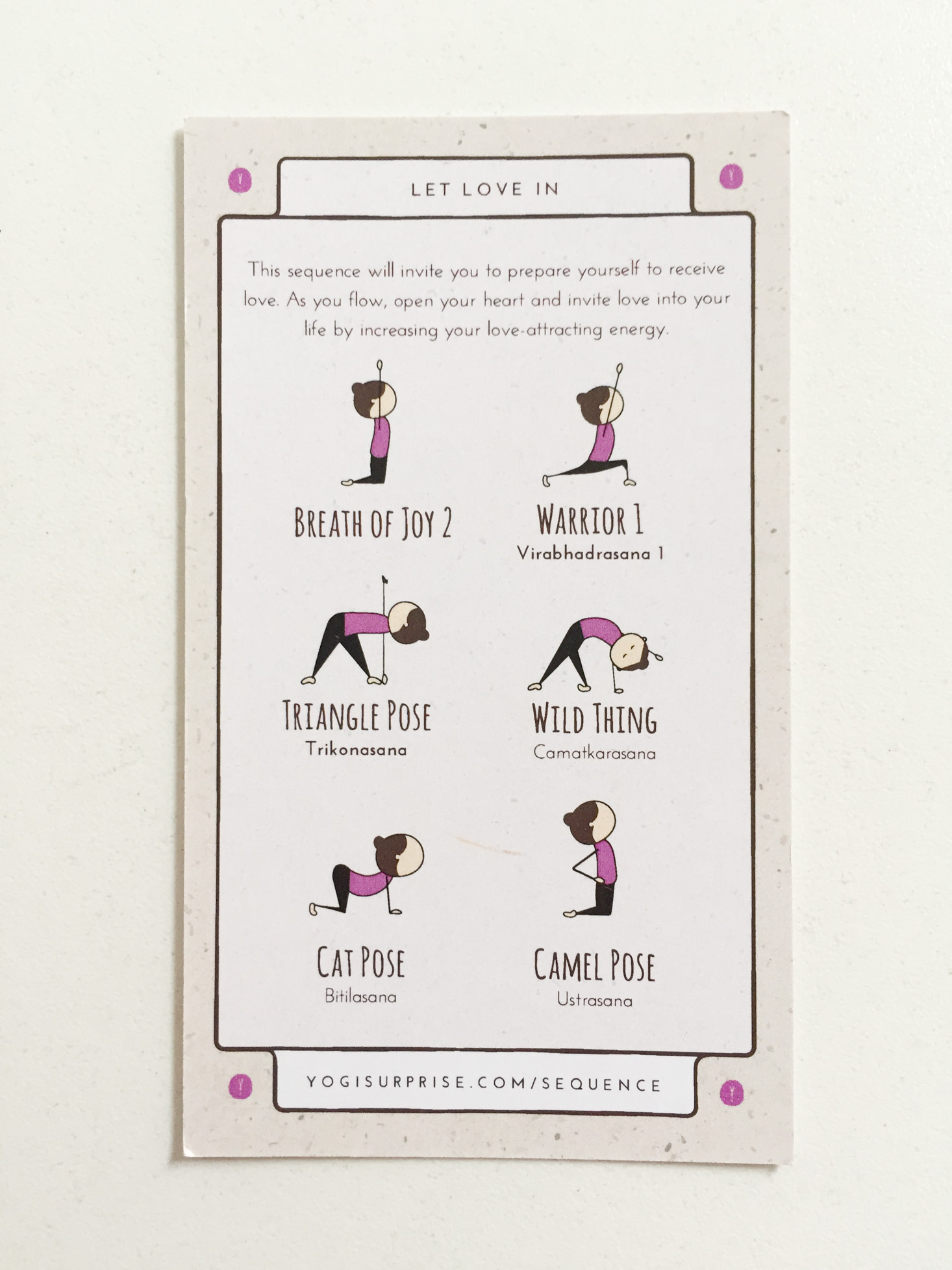 yogi-surprise-february-2017-sequence