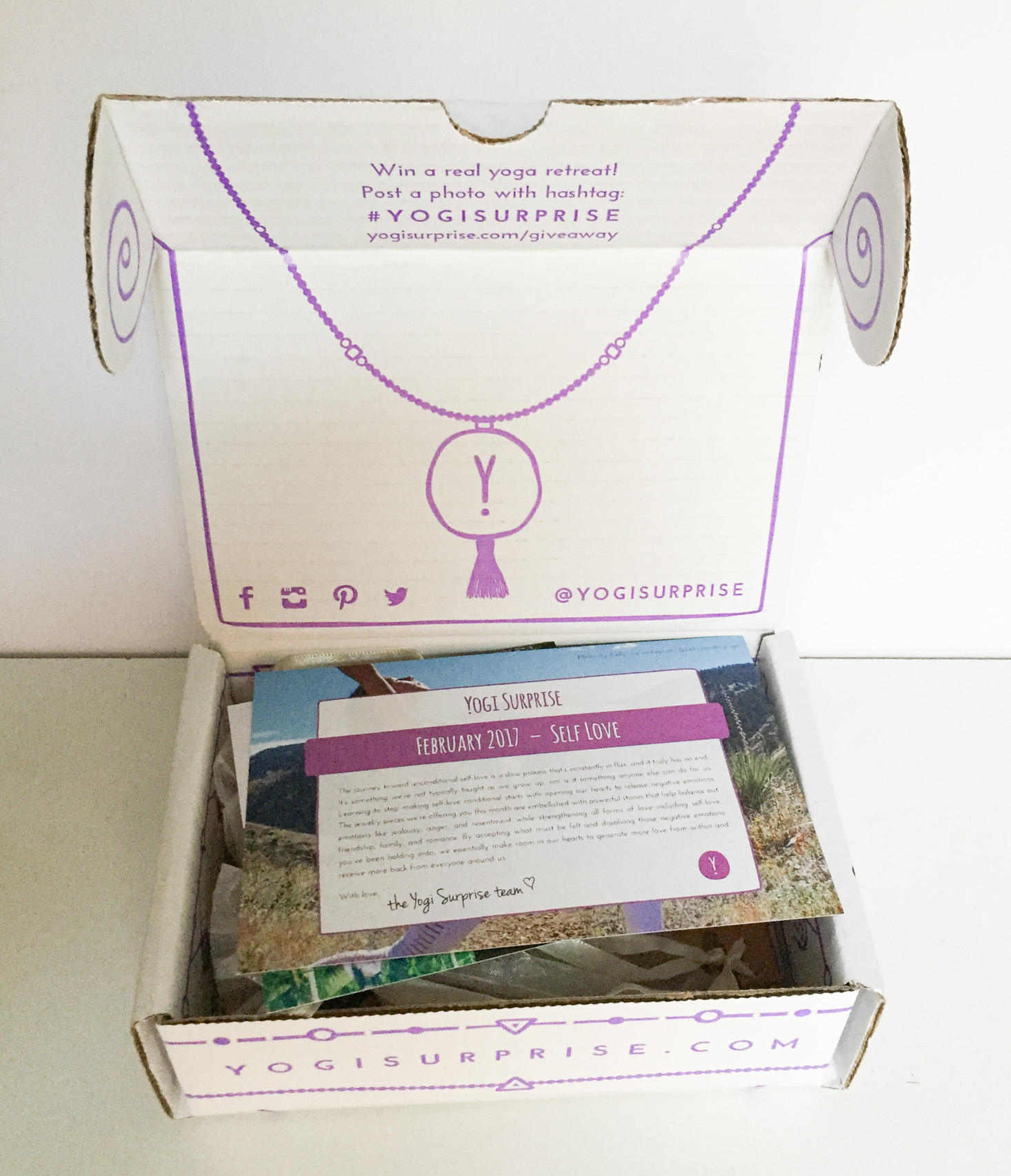 yogi-surprise-jewelry-february-2017-box-inside
