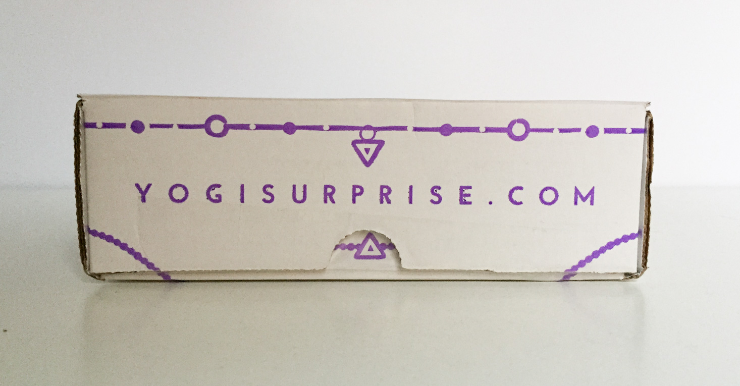 yogi-surprise-jewelry-february-2017-box