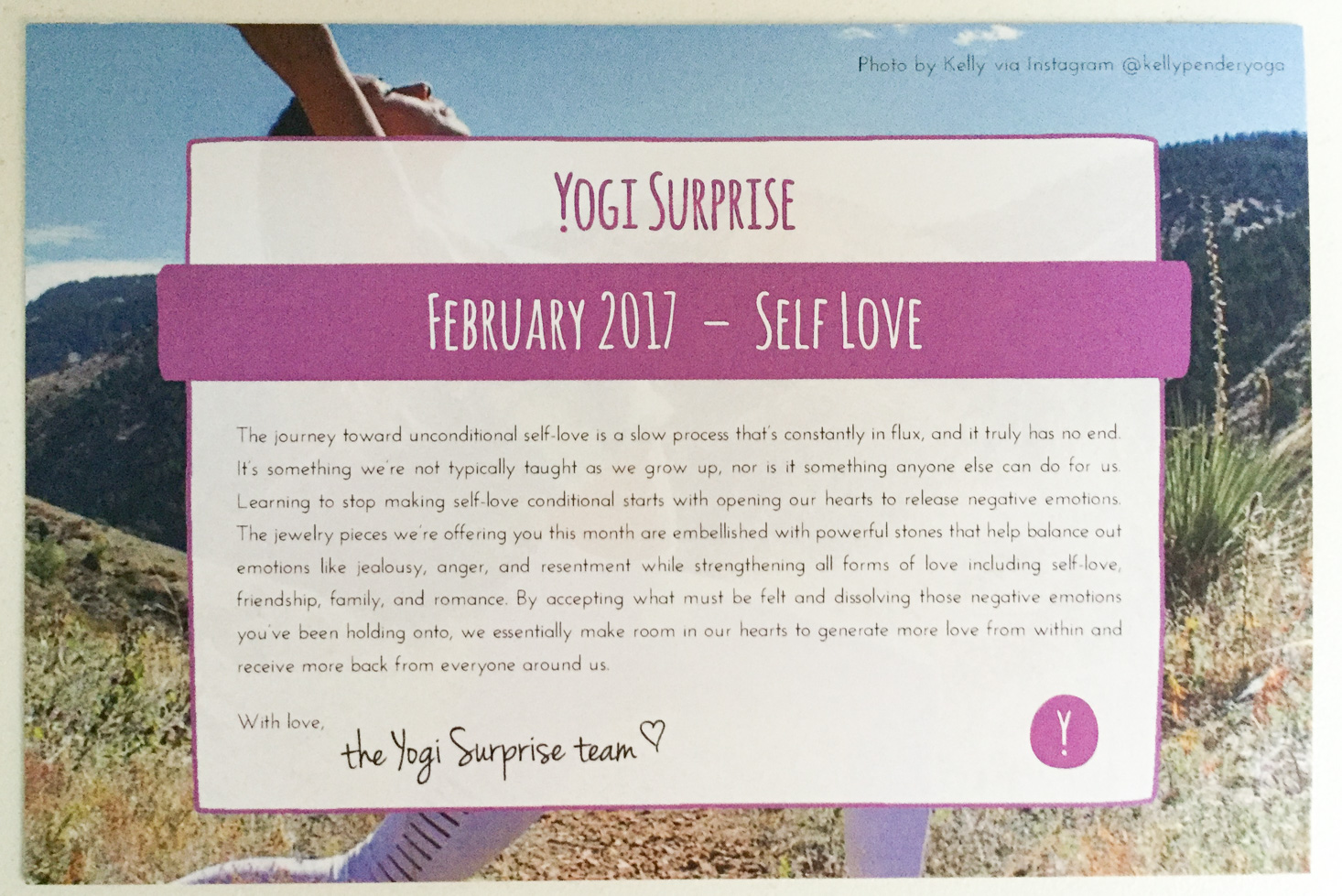 yogi-surprise-jewelry-february-2017-theme
