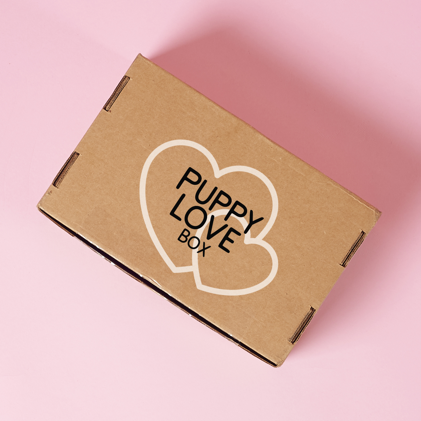 2017-MSA-April-Fools-BOX