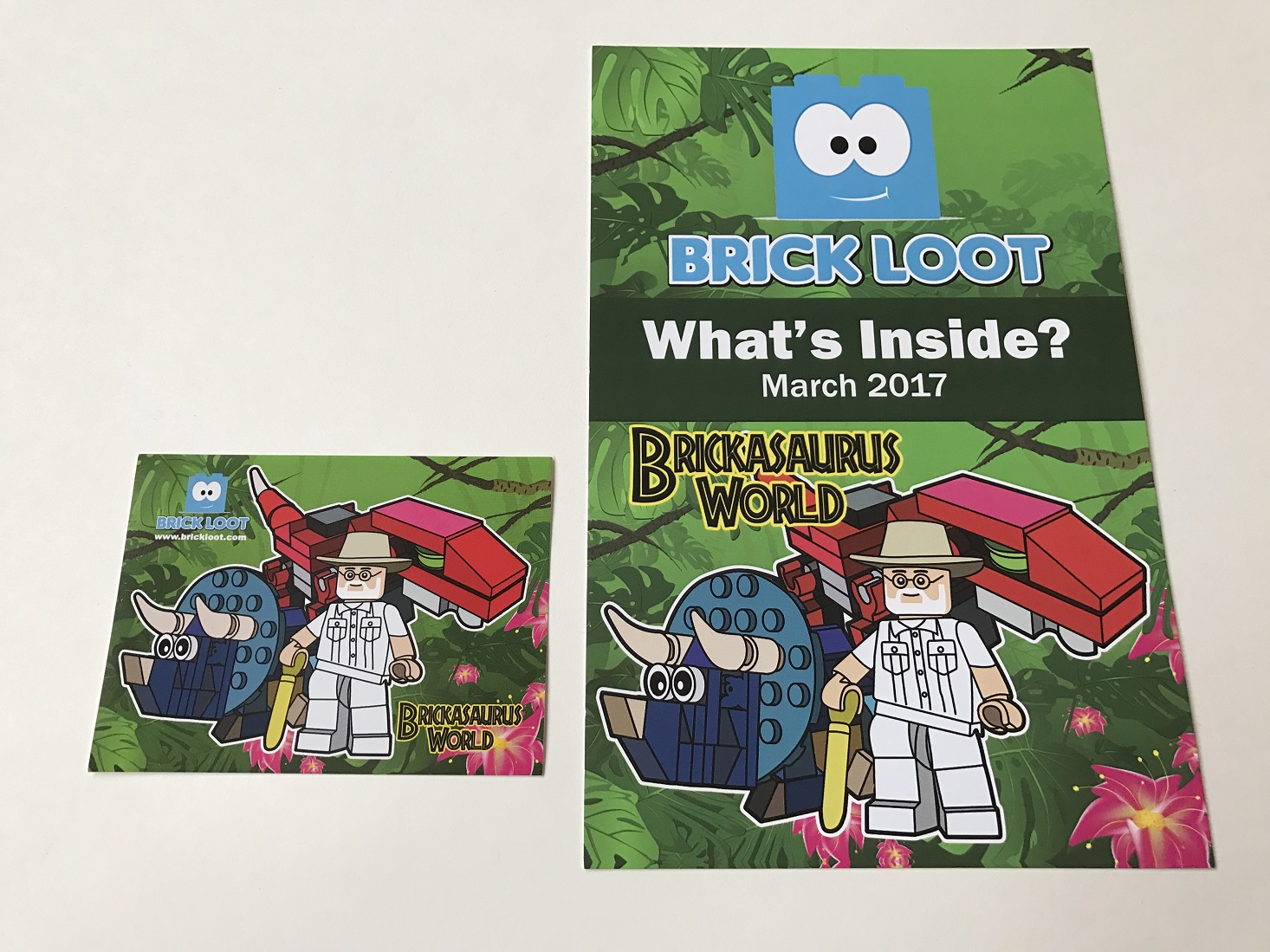 Brick-Loot-March-2017-Booklet