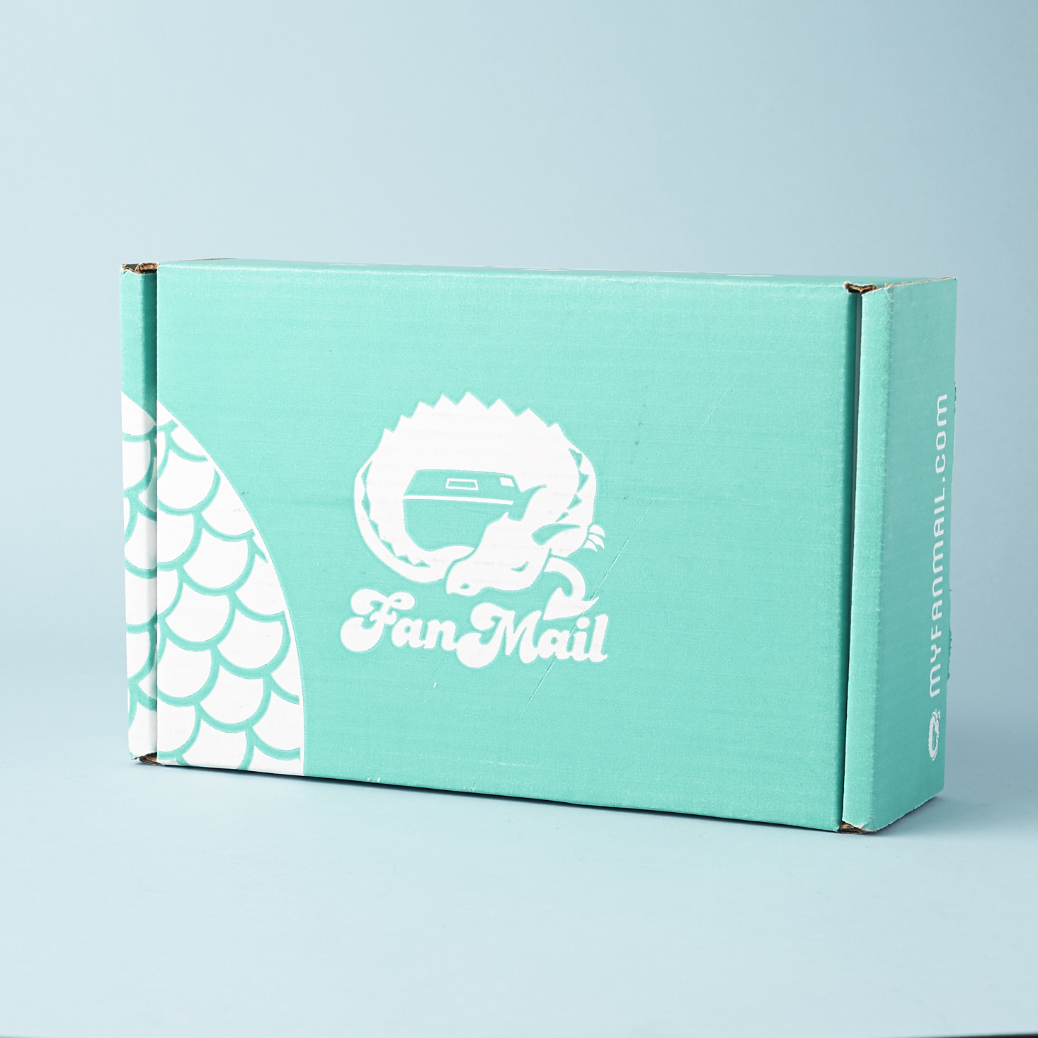 Check out our review of the February 2017 FanMail box!