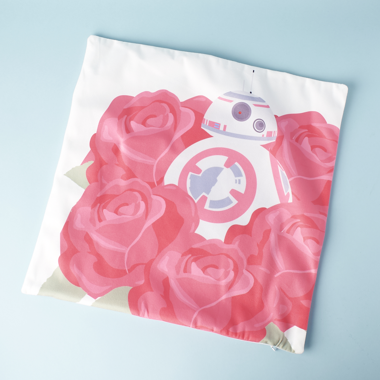 Check out our review of the February 2017 FanMail box!