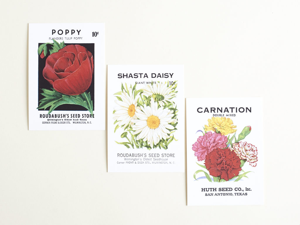 Read our review of the Spring 2017 Idea Chic Parcel Post box!