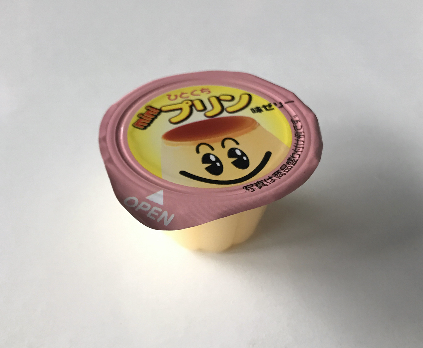 Japan-Crate-February-2017-Pudding