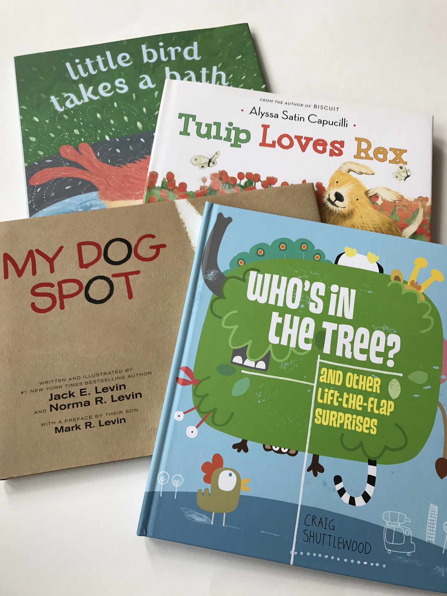Lillypost-March-2017-Review