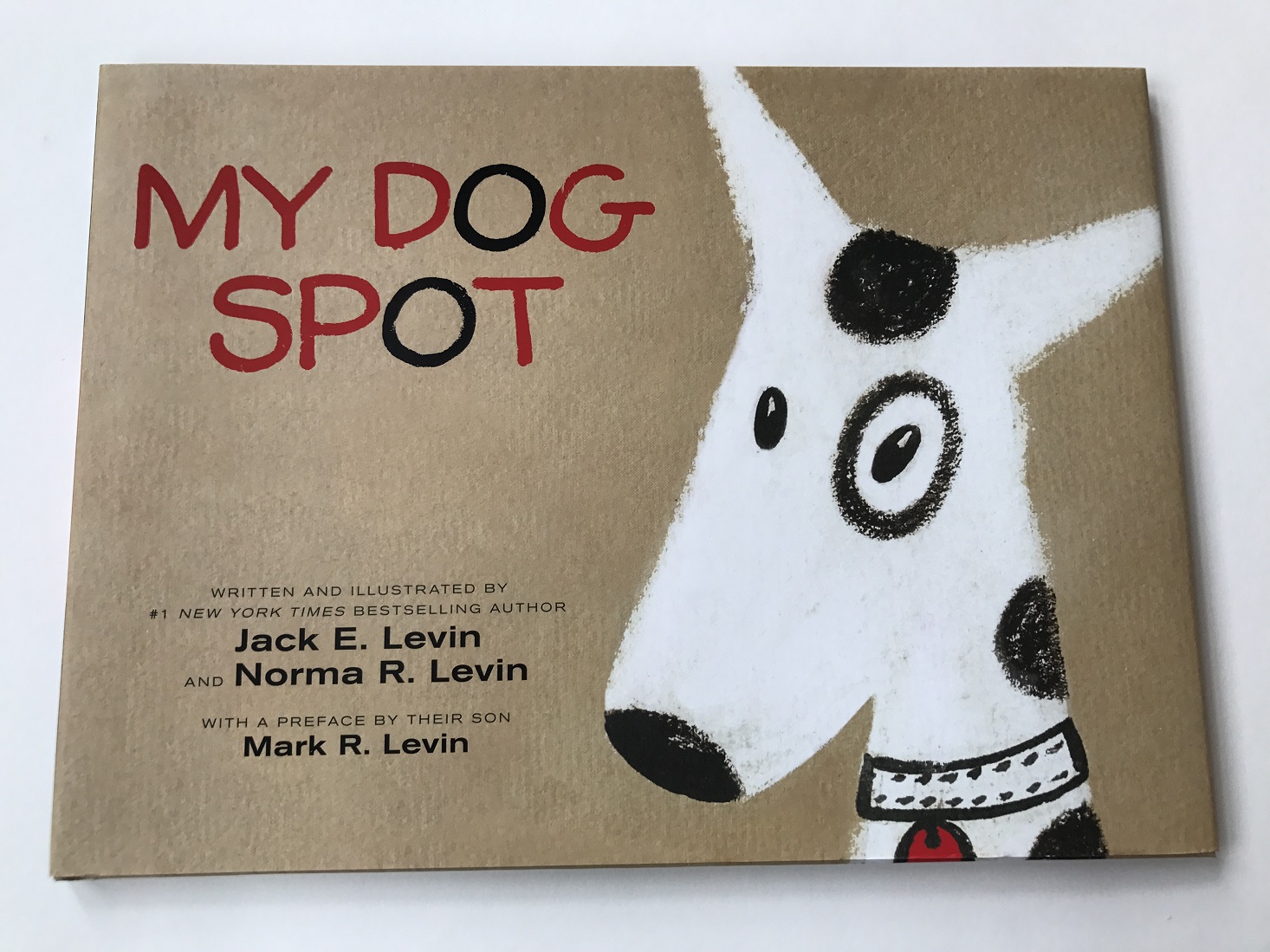 Lillypost-March-2017-Spot