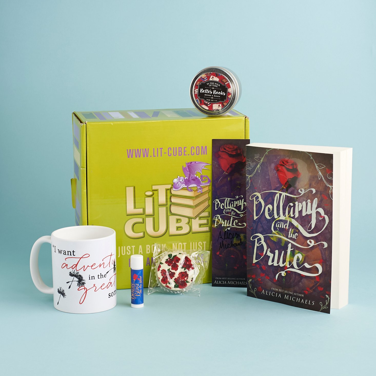 Check out our review of the March 2017 LitCube box!