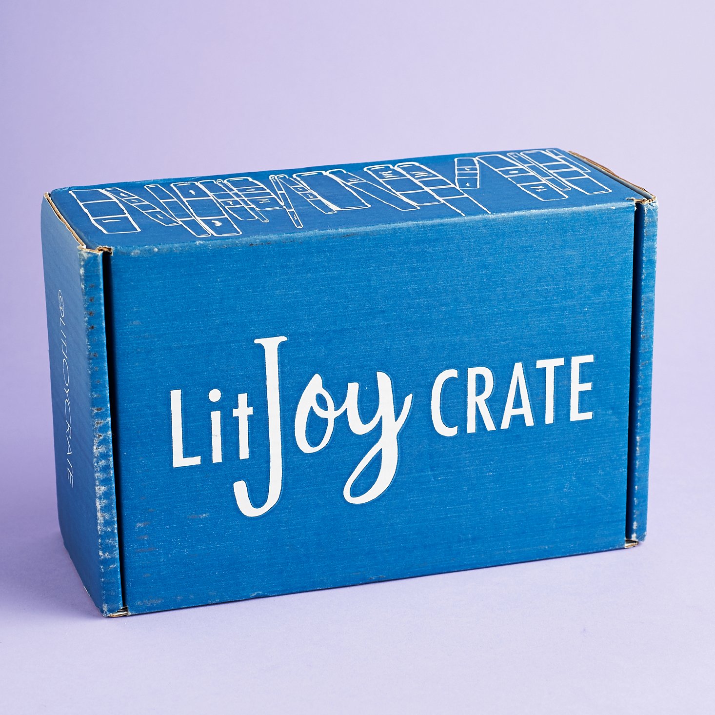 LitJoy Crate YA Subscription Box Review – January 2017