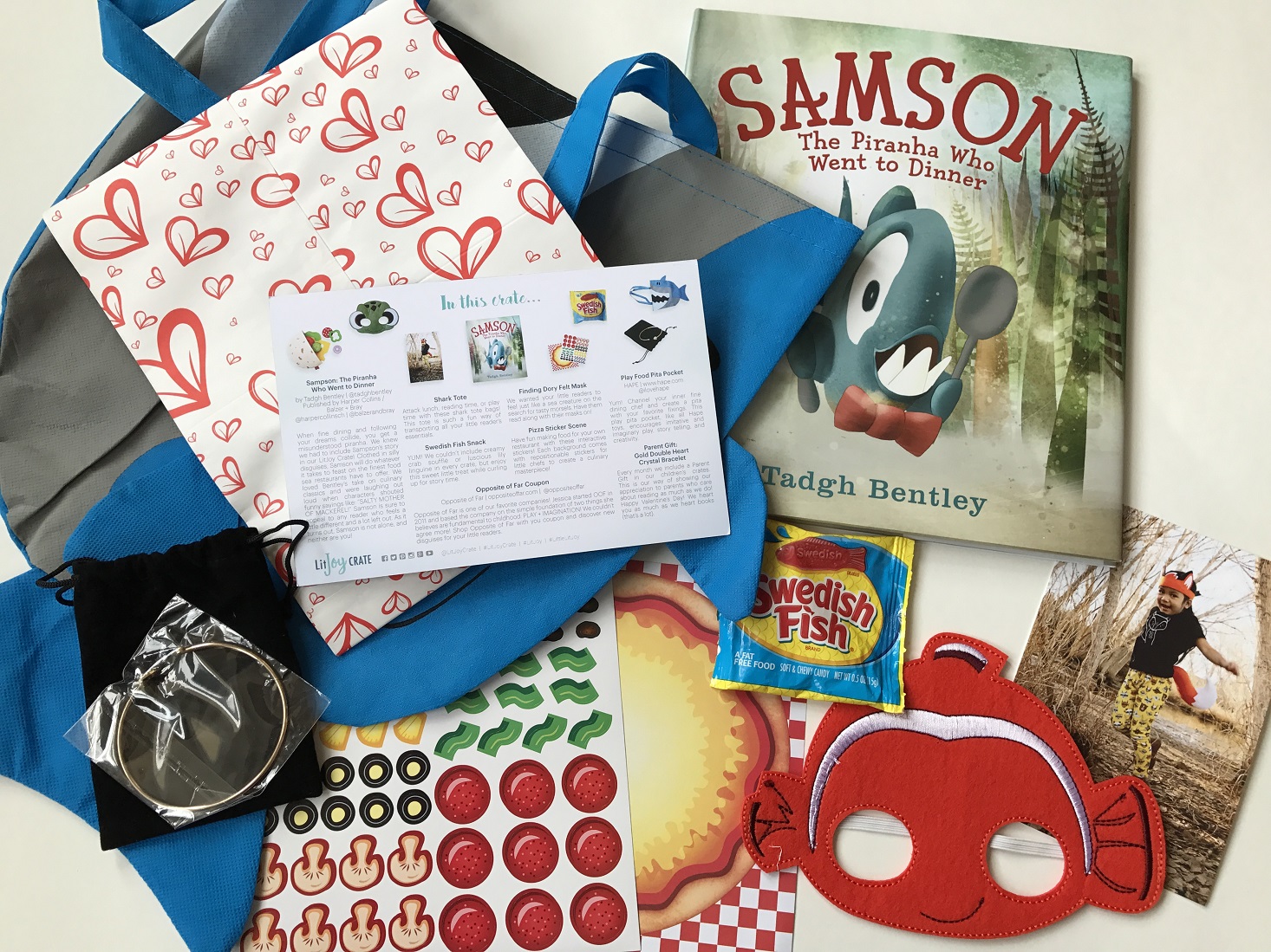 Litjoy-February-2017-Review