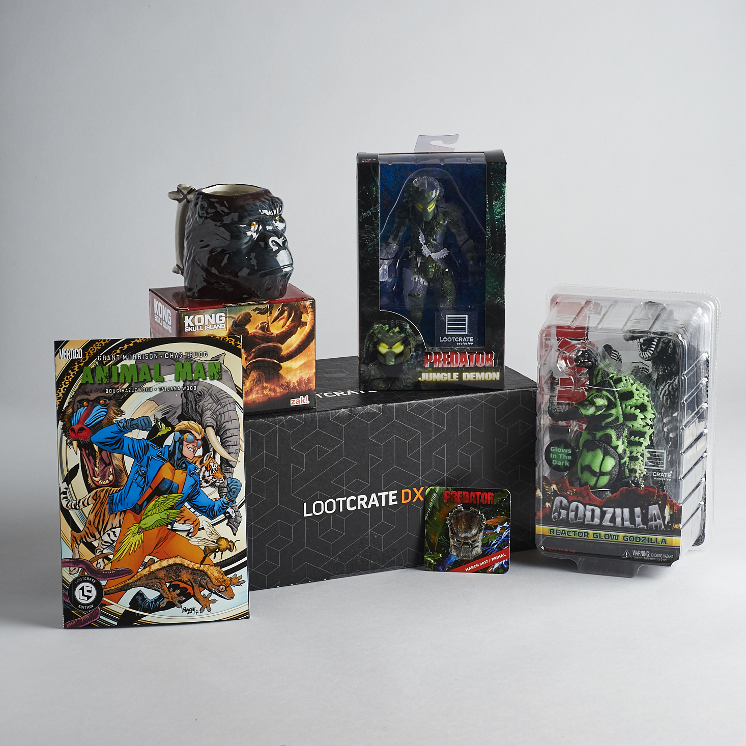 Loot-Crate-DX-March-2017-0003