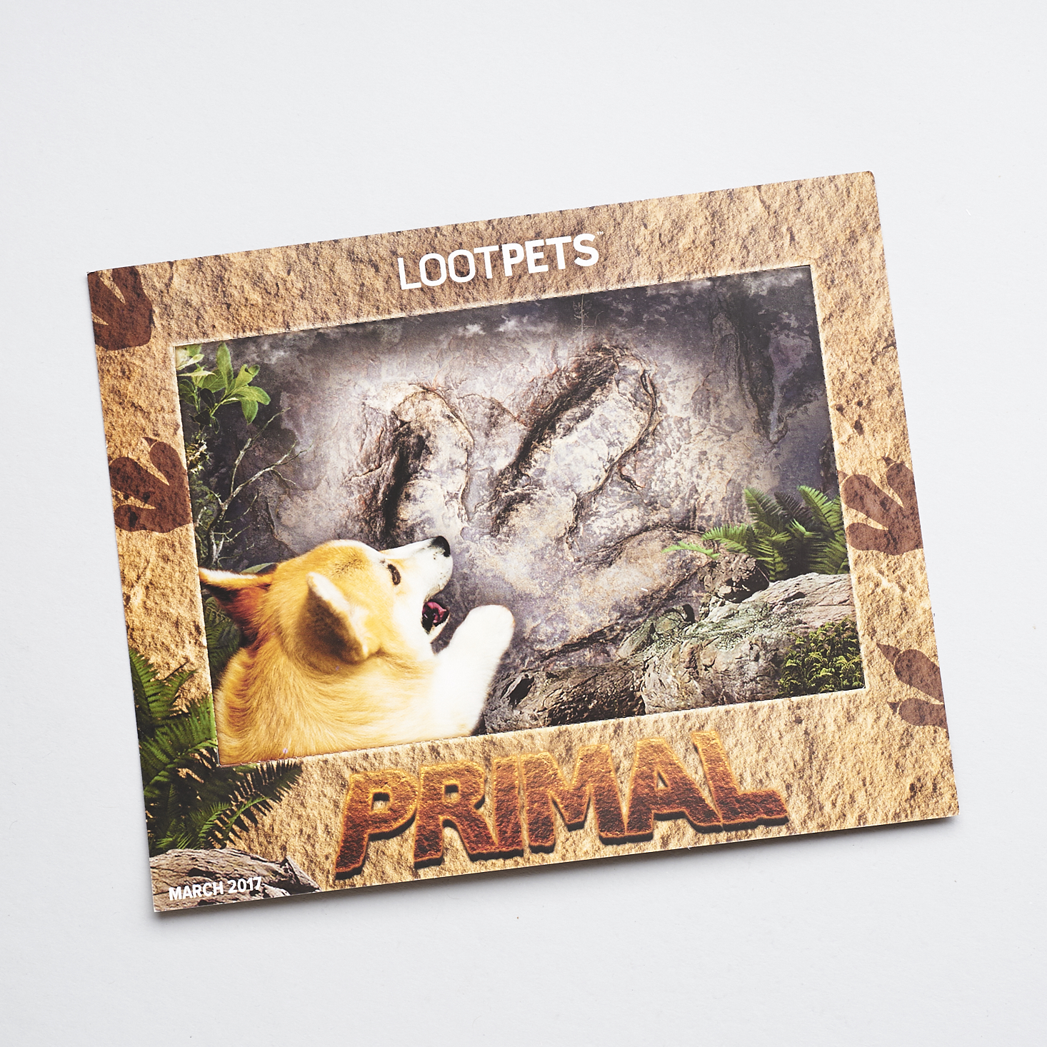 Lootpets-March-2017-0004