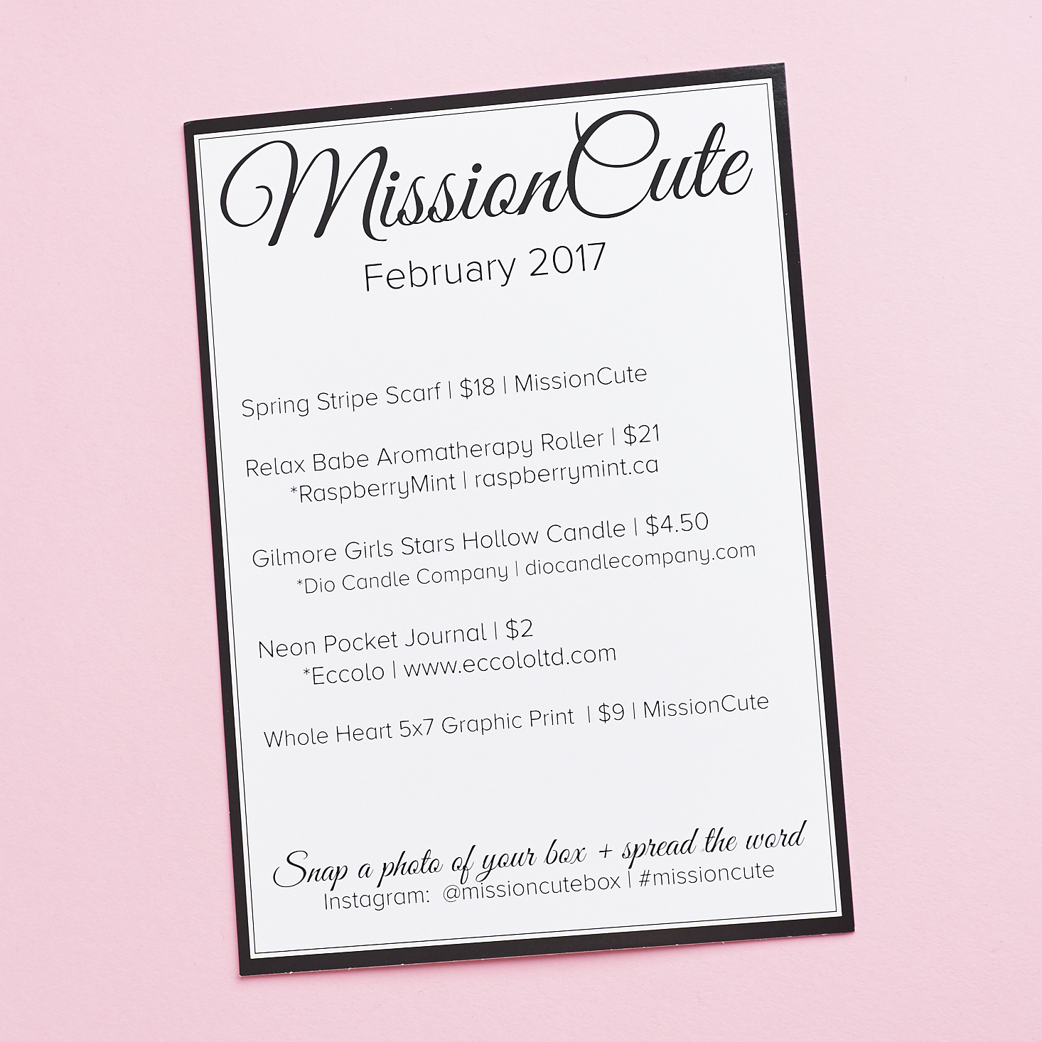 Check out our review of the February 2017 Mission Cute box!