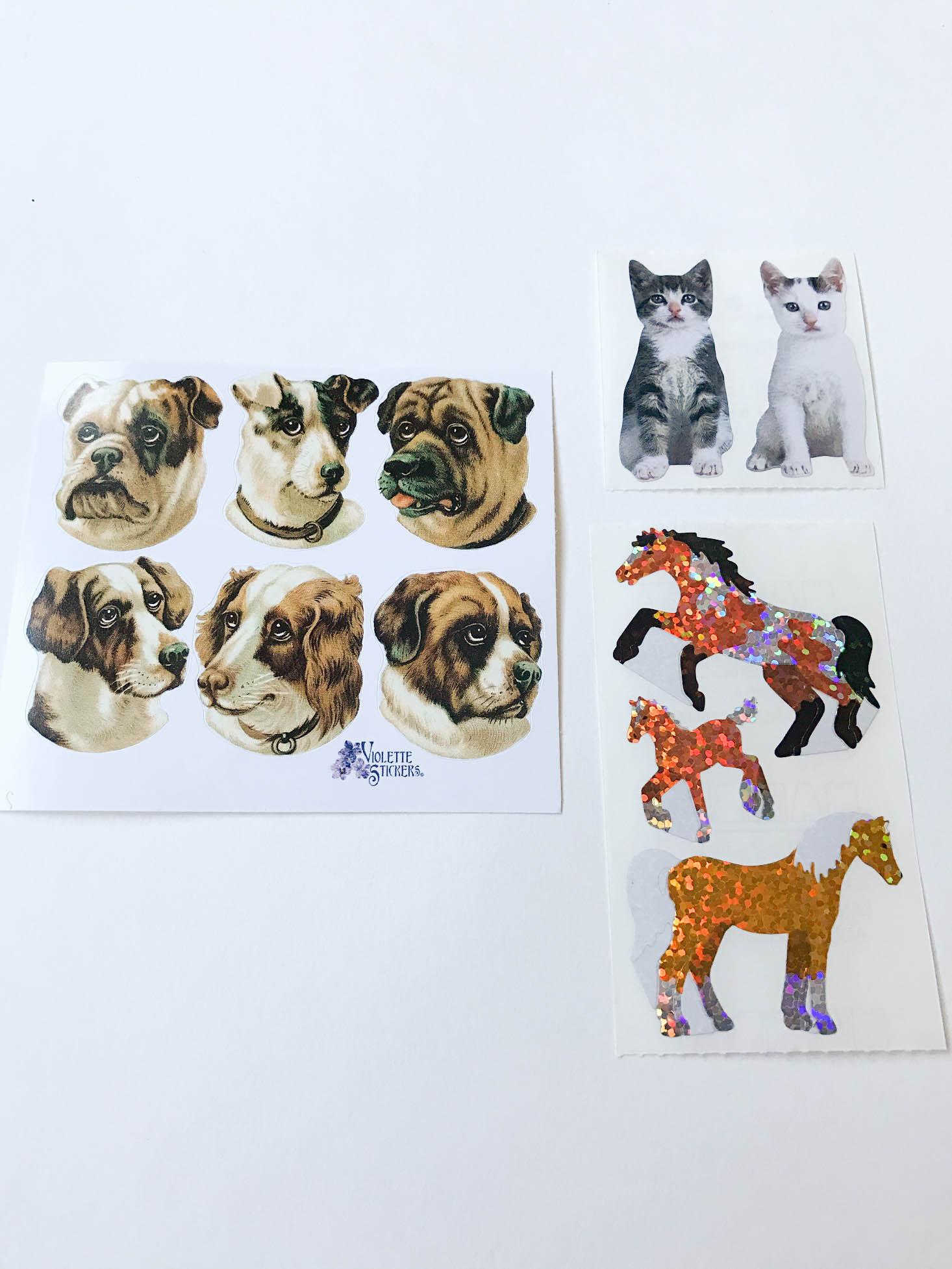 Pipsticks-Kids-March-2017-Animals