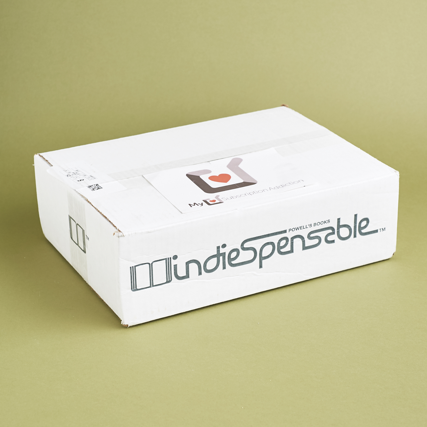 Powell’s Books Indiespensable Subscription Box Review – Vol. 65