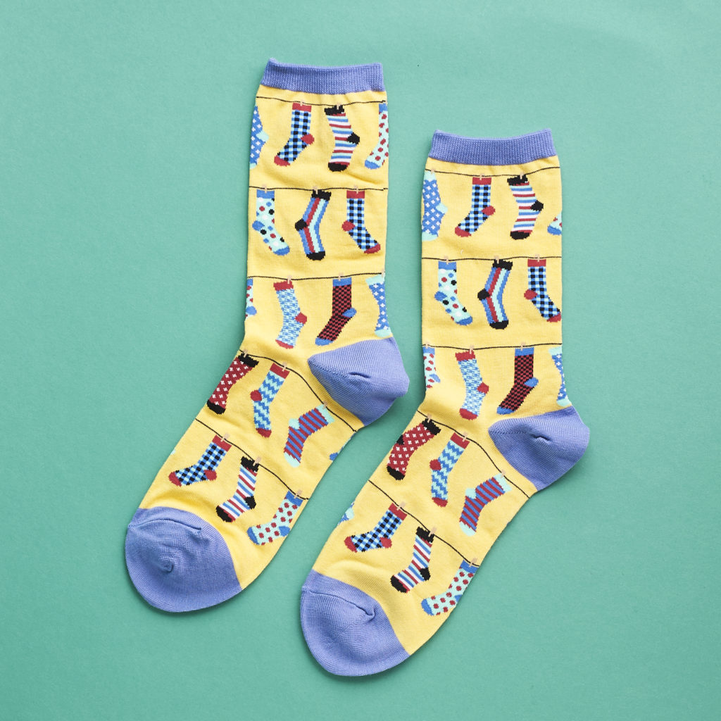 Say-It-With-A-Sock-Womens-March-2017-0008