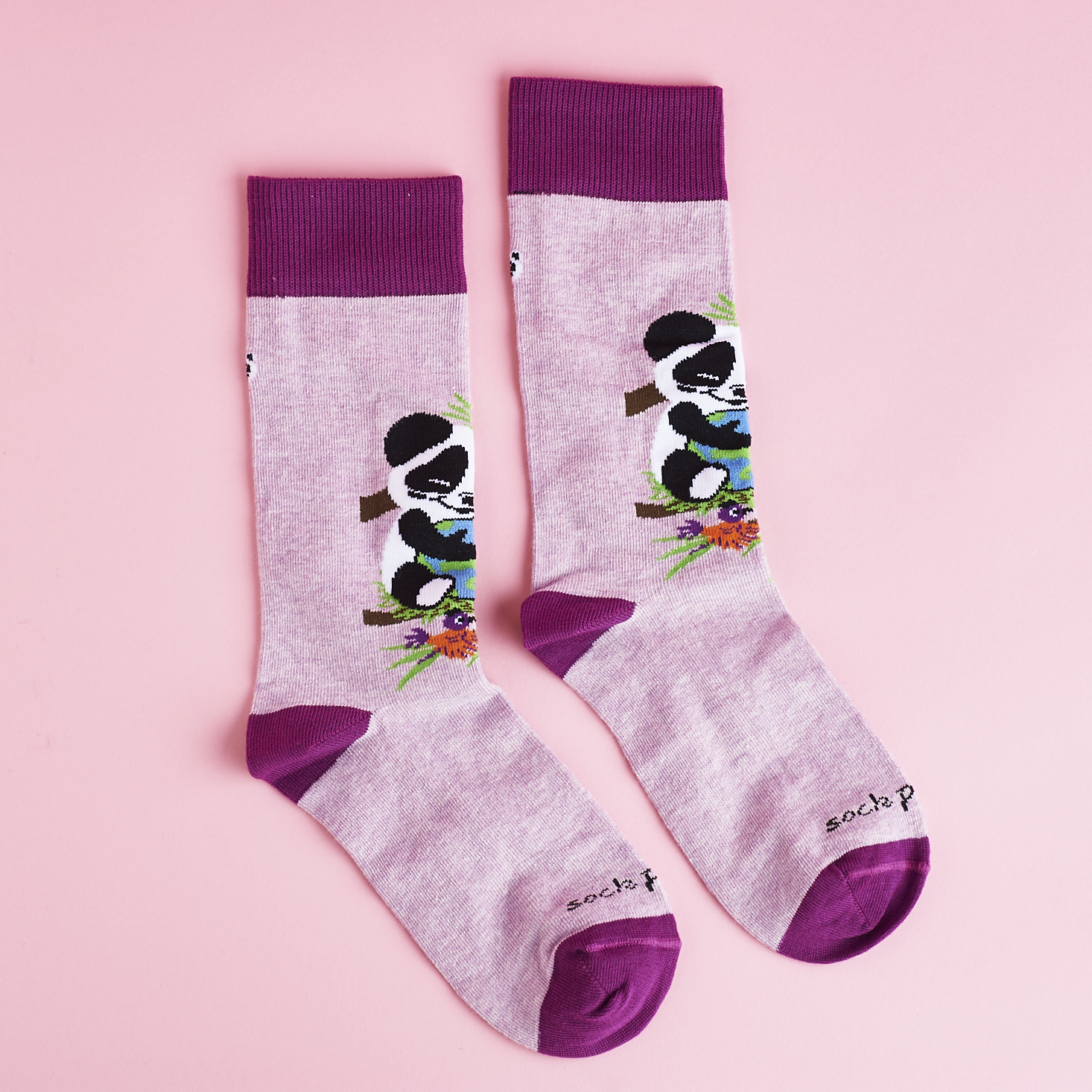 Check out our review of Sock Panda for February 2017