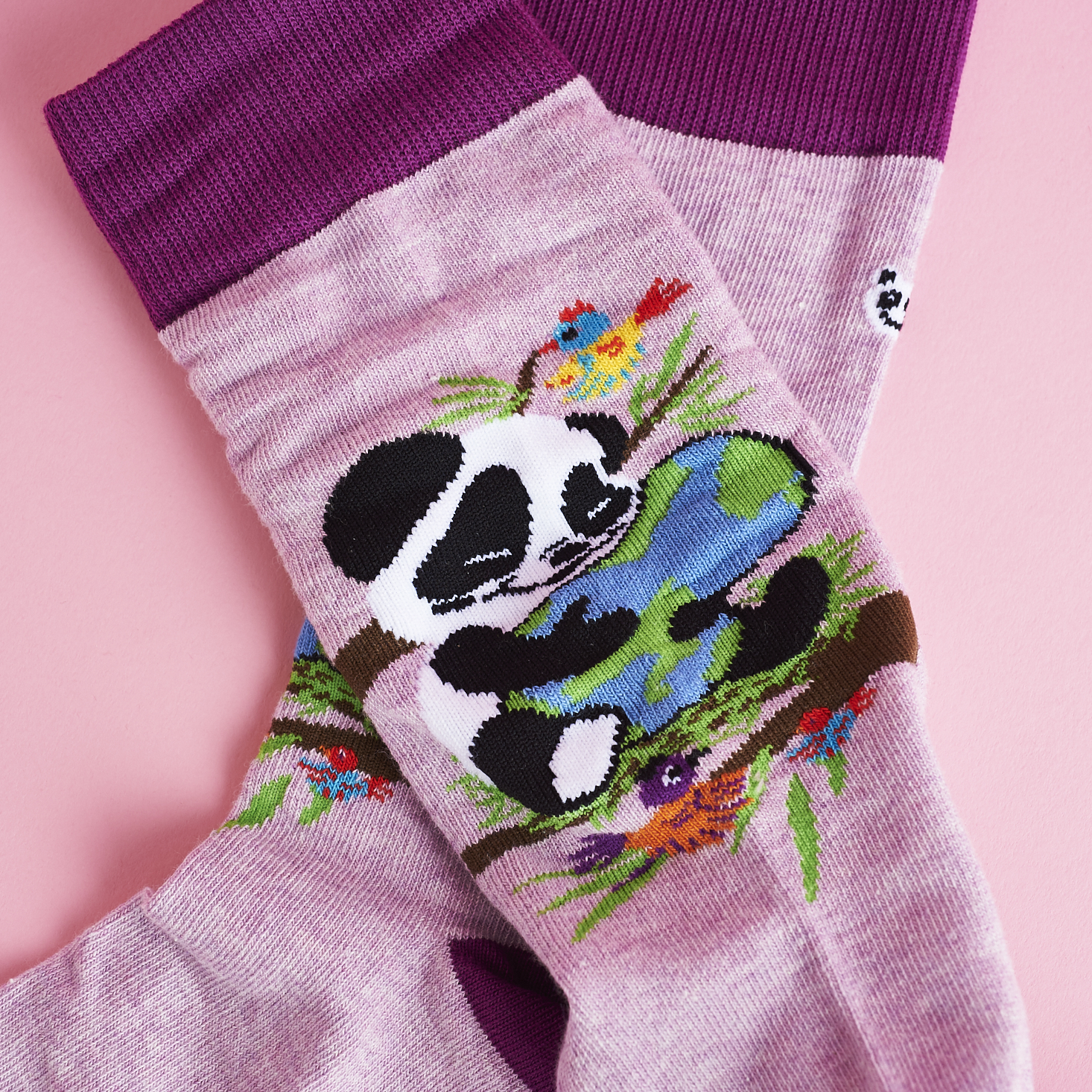 Check out our review of Sock Panda for February 2017