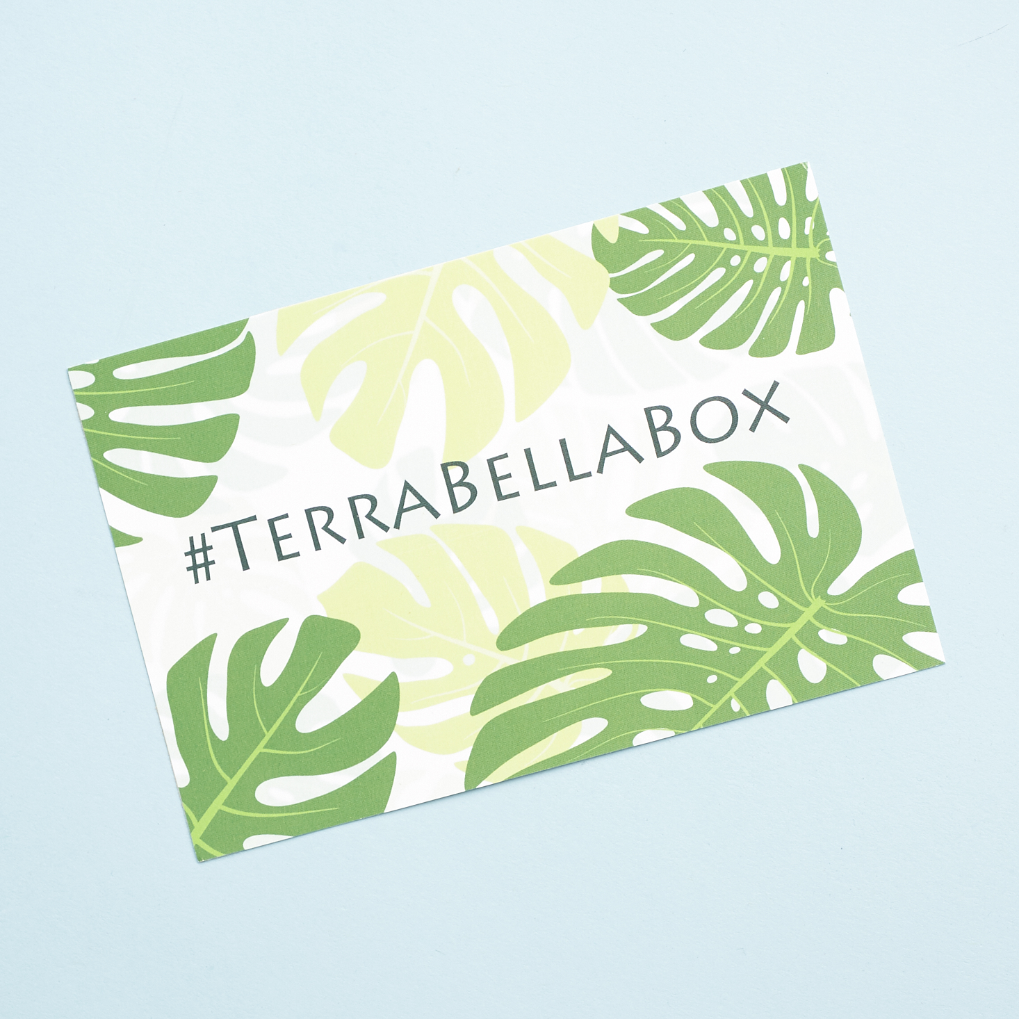 Terra-Bella-Box-March-2017-0004