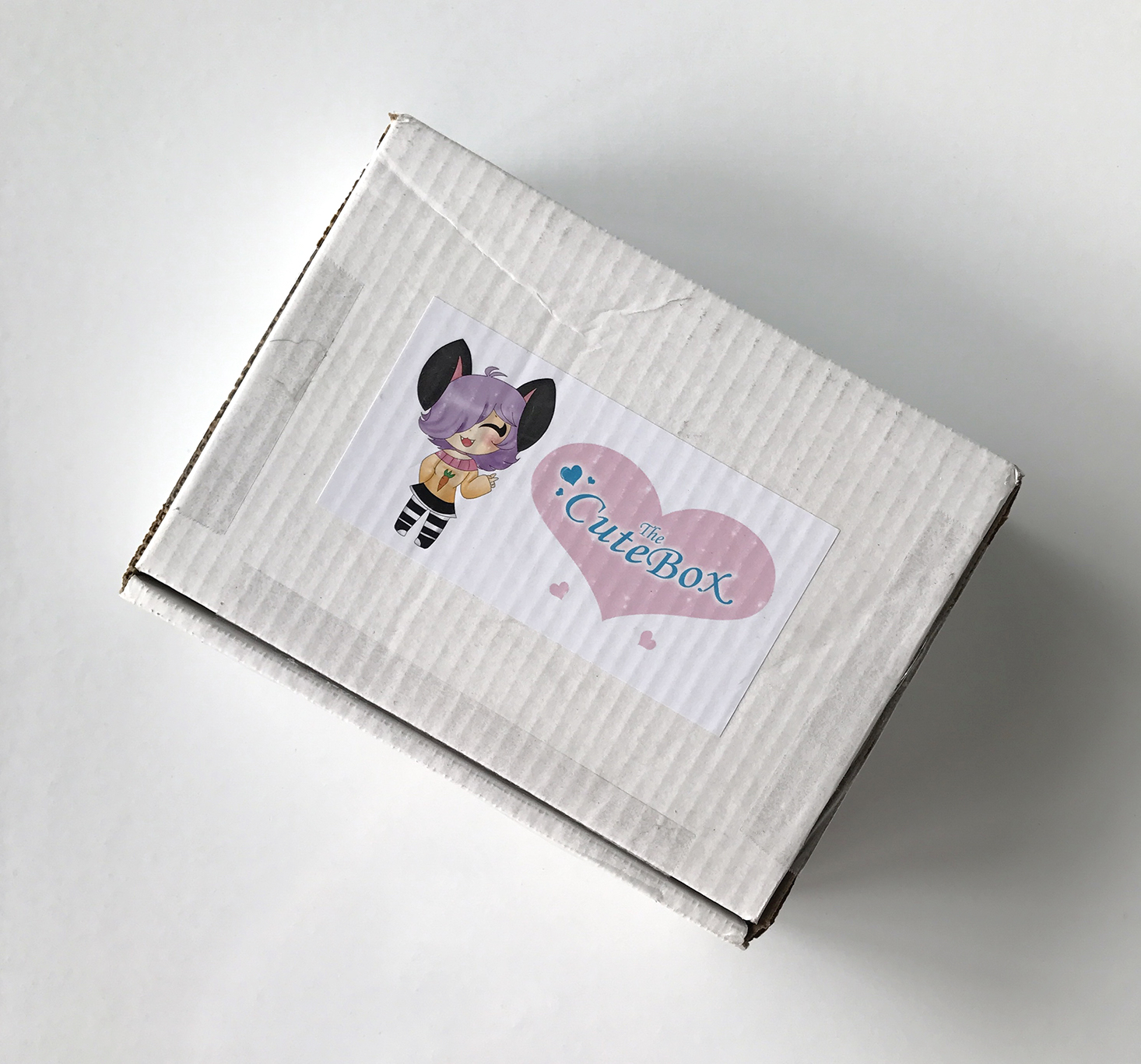 The CuteBox Subscription Review + Coupon – February 2017