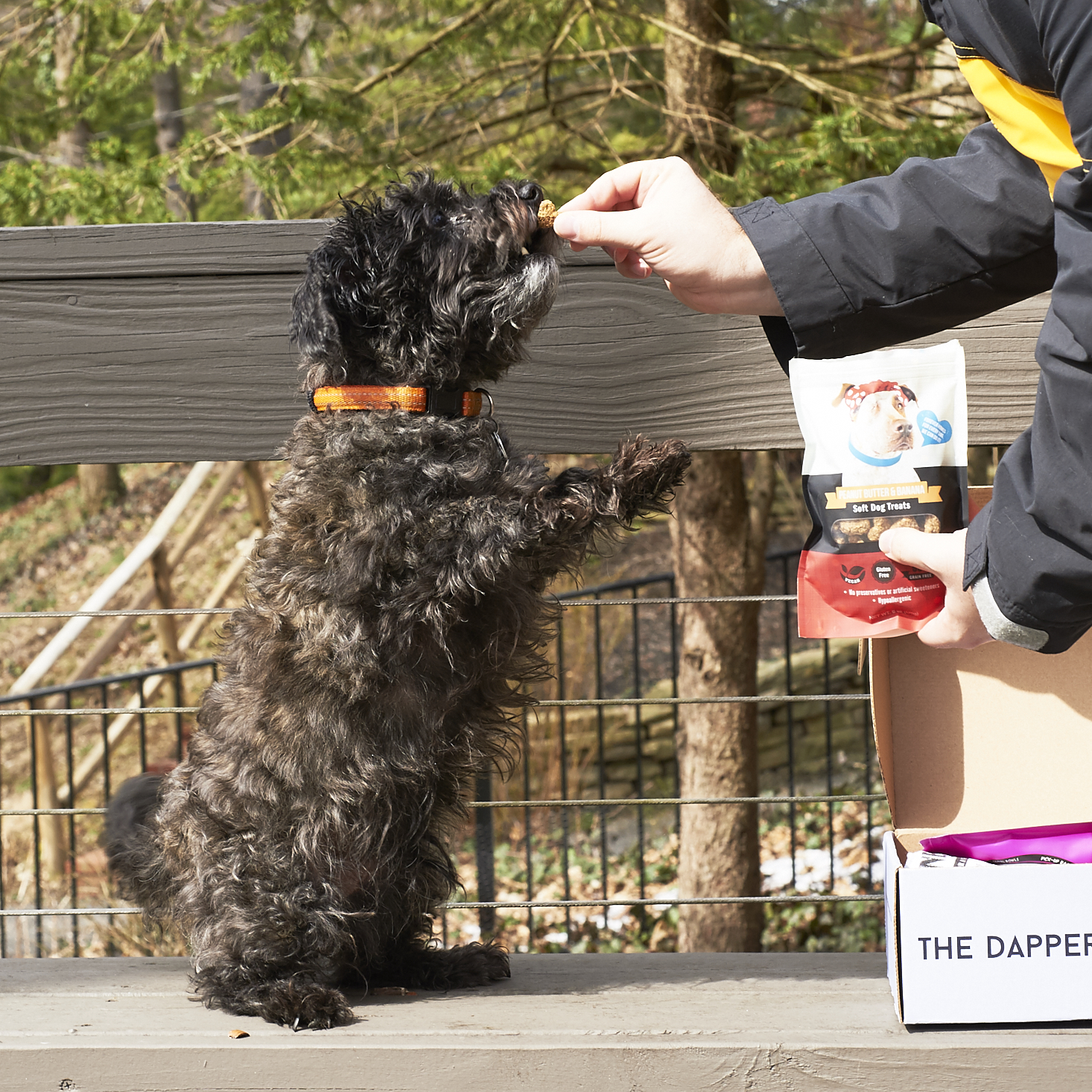 The-Dapper-Dog-March-2017-0031