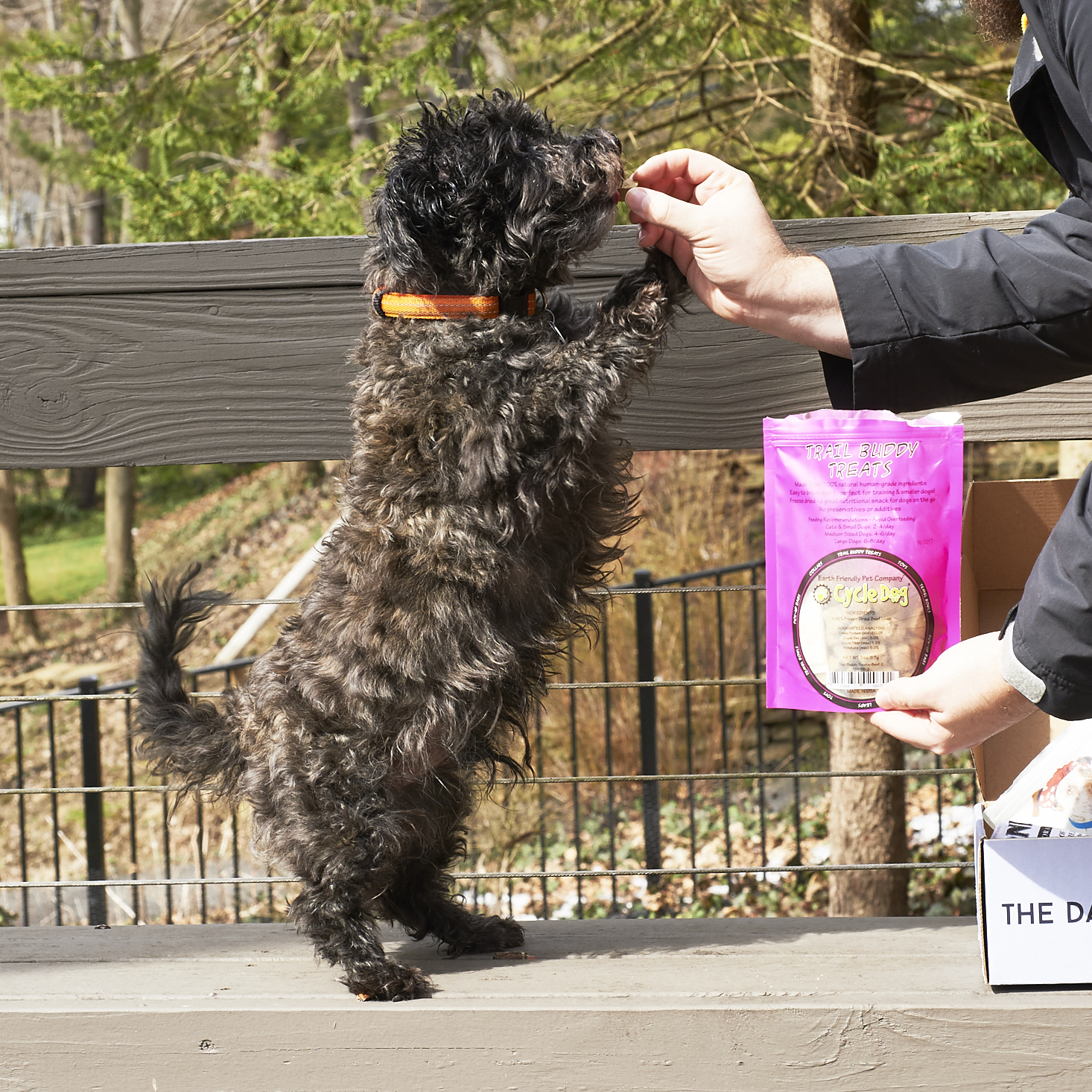The-Dapper-Dog-March-2017-0032