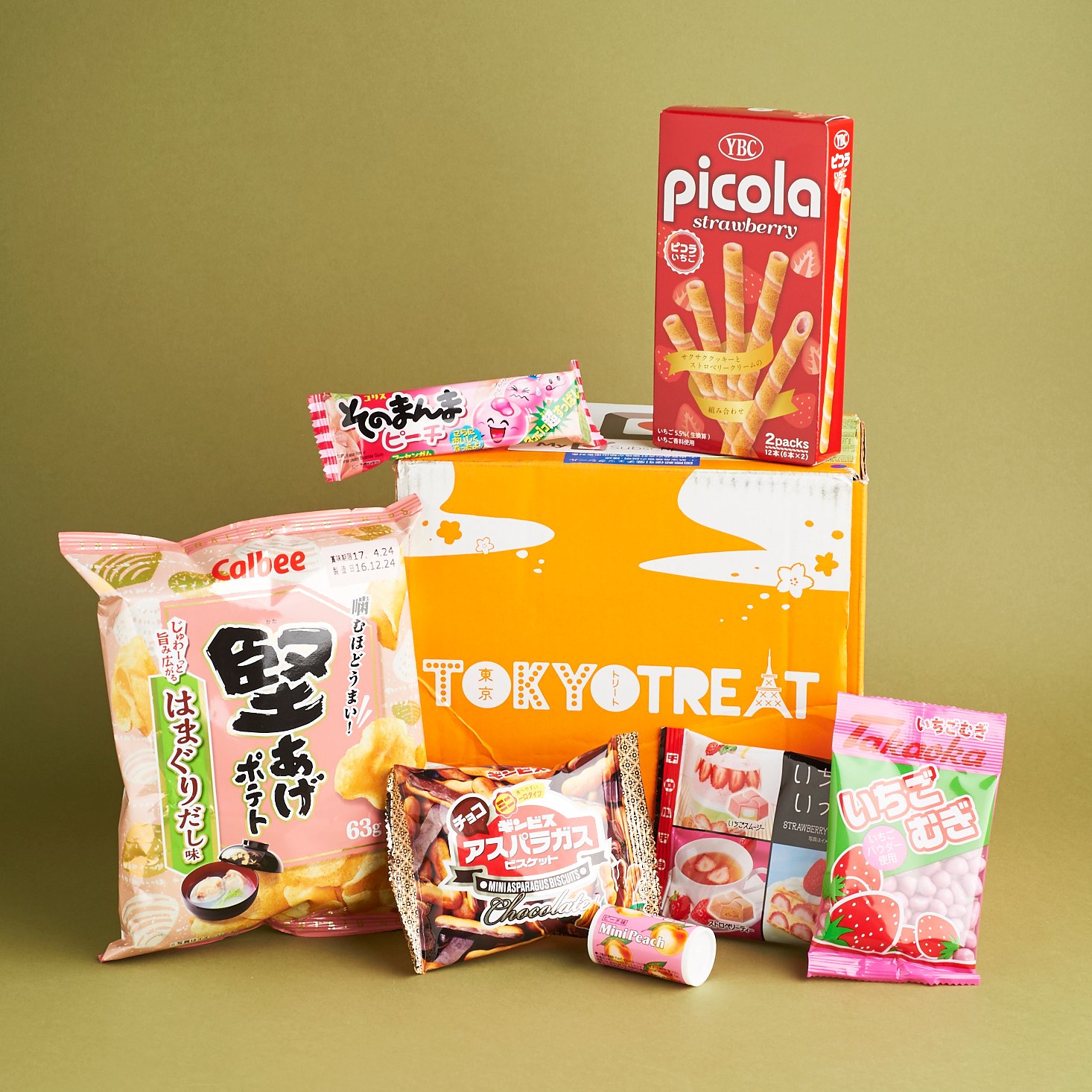 Check out our review of the February 2017 TokyoTreat box!