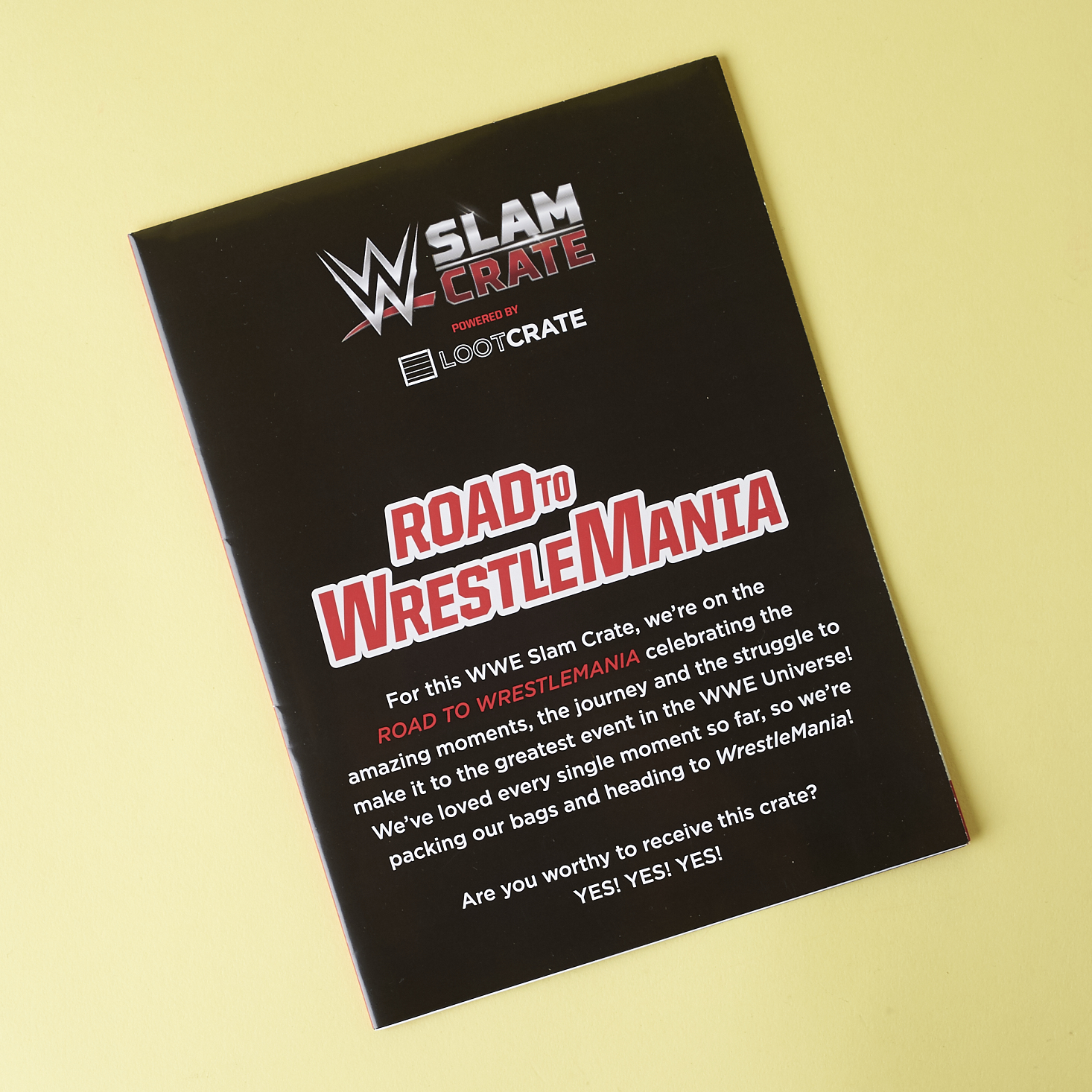 WW-slam-crate-march-2017-0006