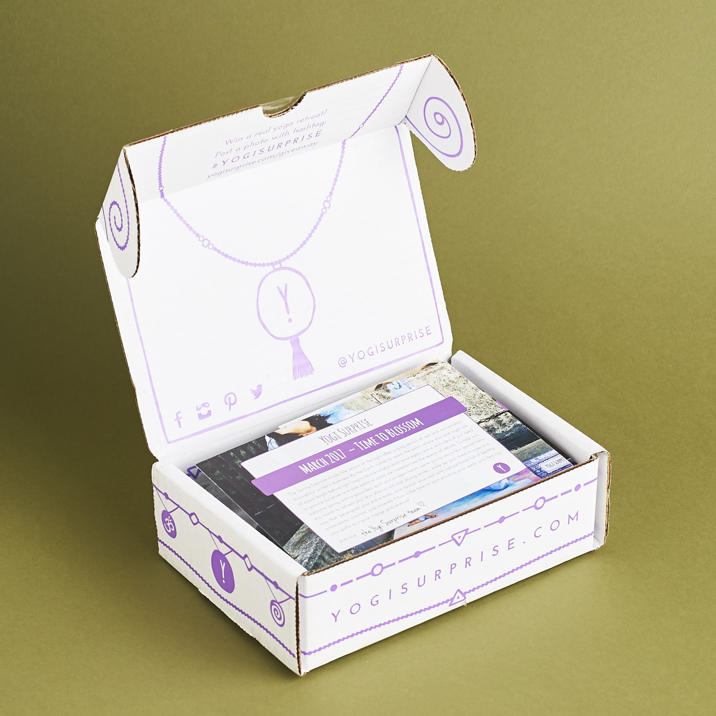 Check out our review of the March 2017 Yogi Surprise Jewelry box!