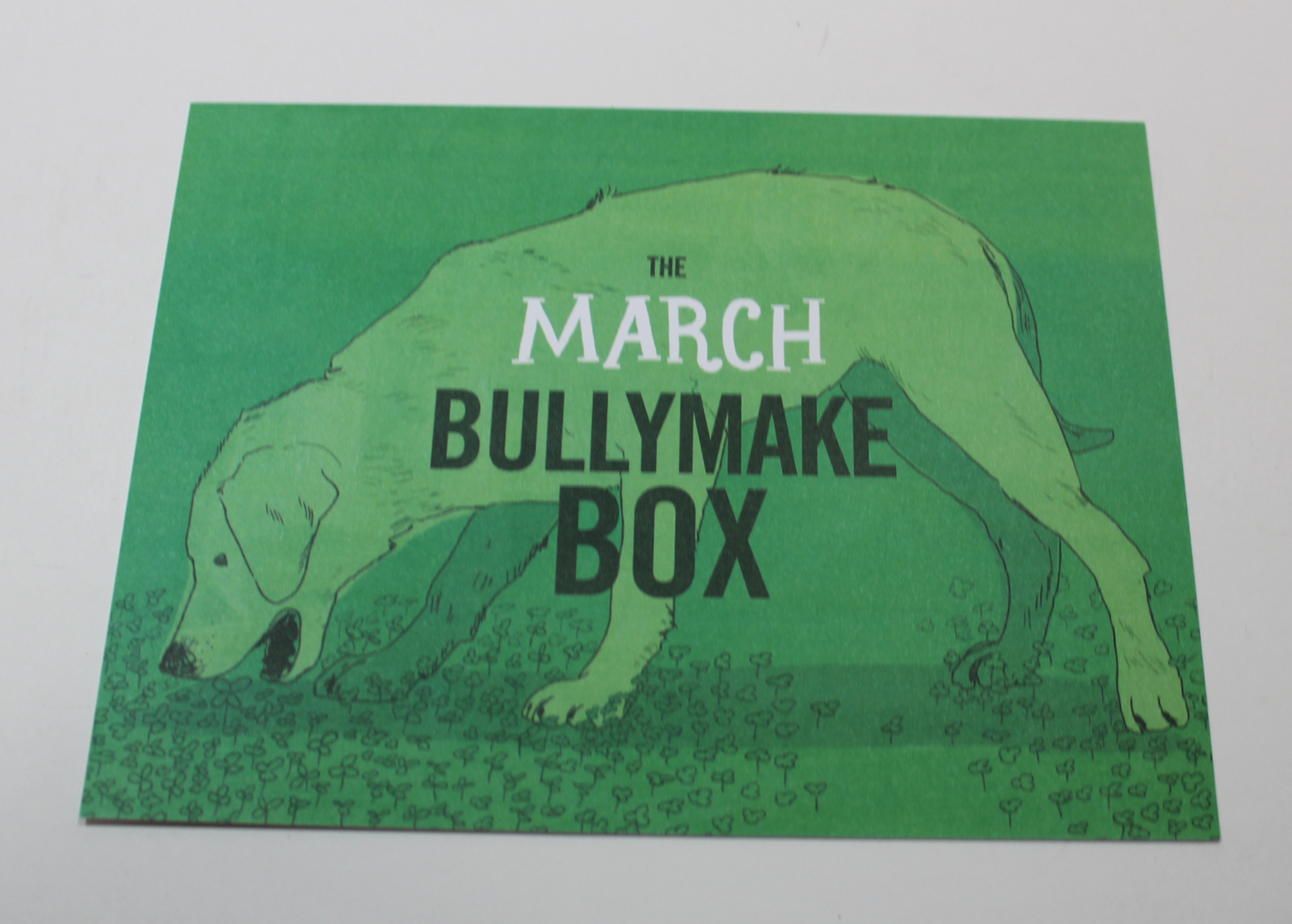 bullymake-box-march-2017-booklet-front