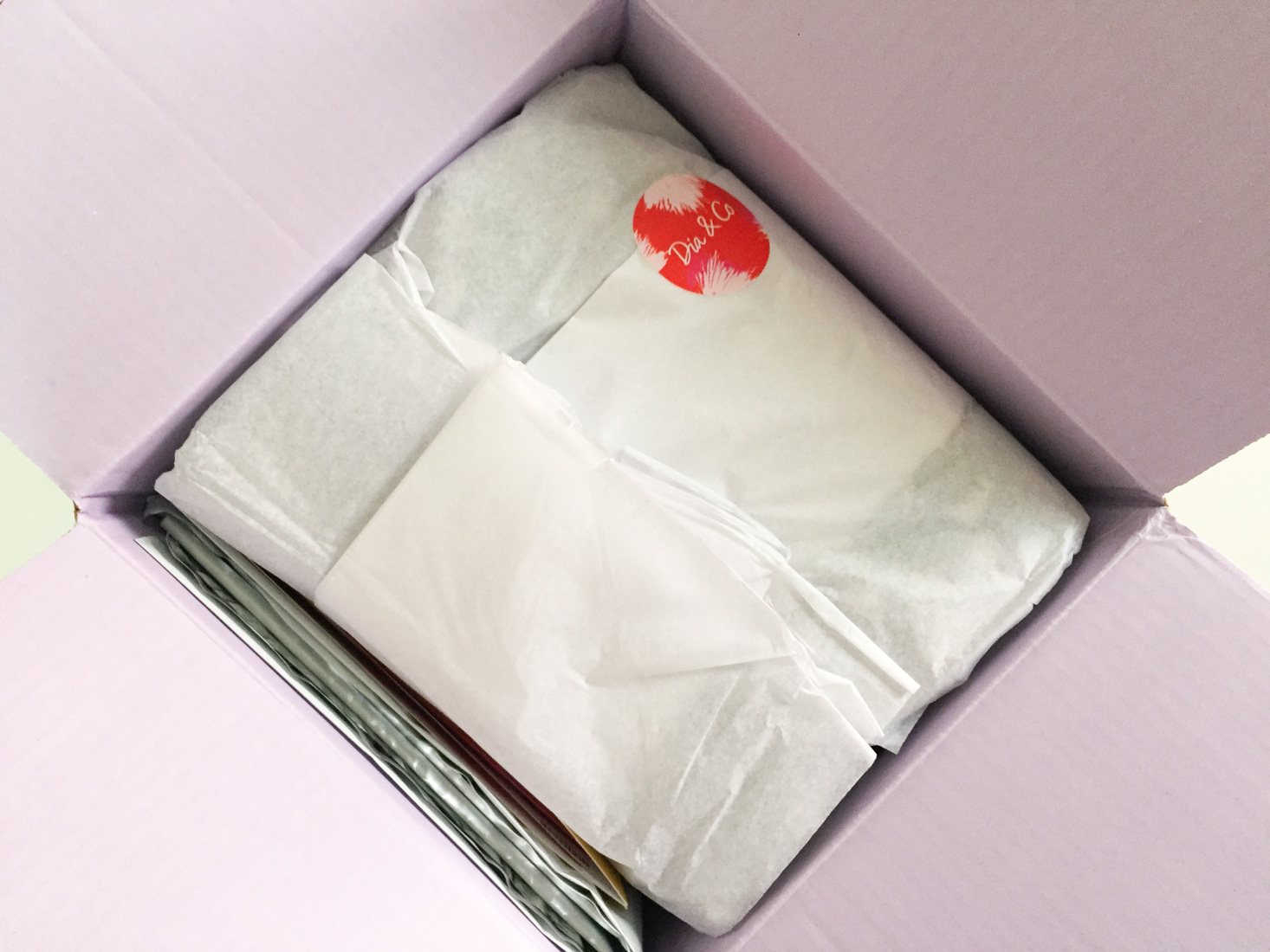 dia-and-co-april-2017-box-inside