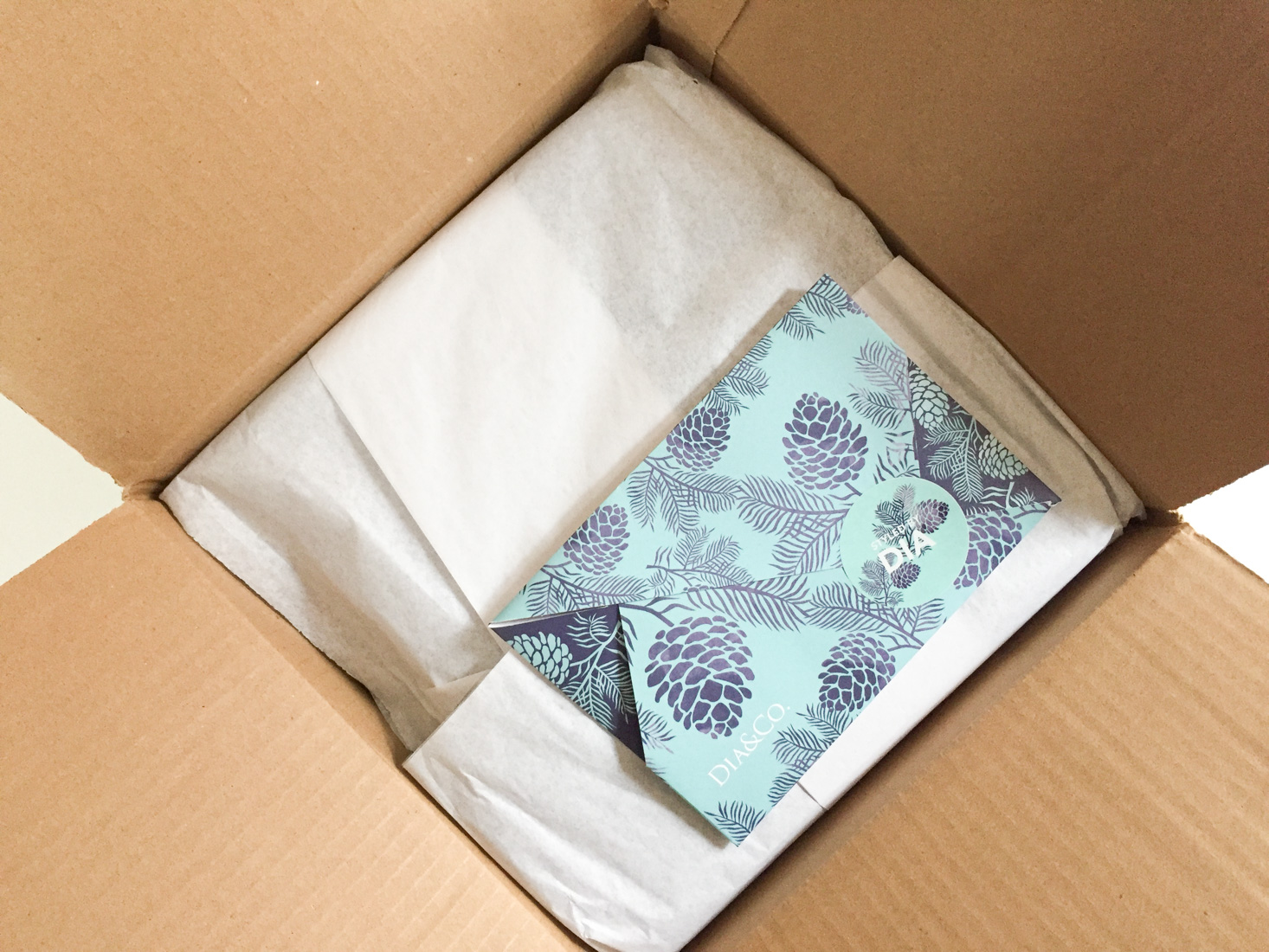 dia-and-co-march-2017-box-inside