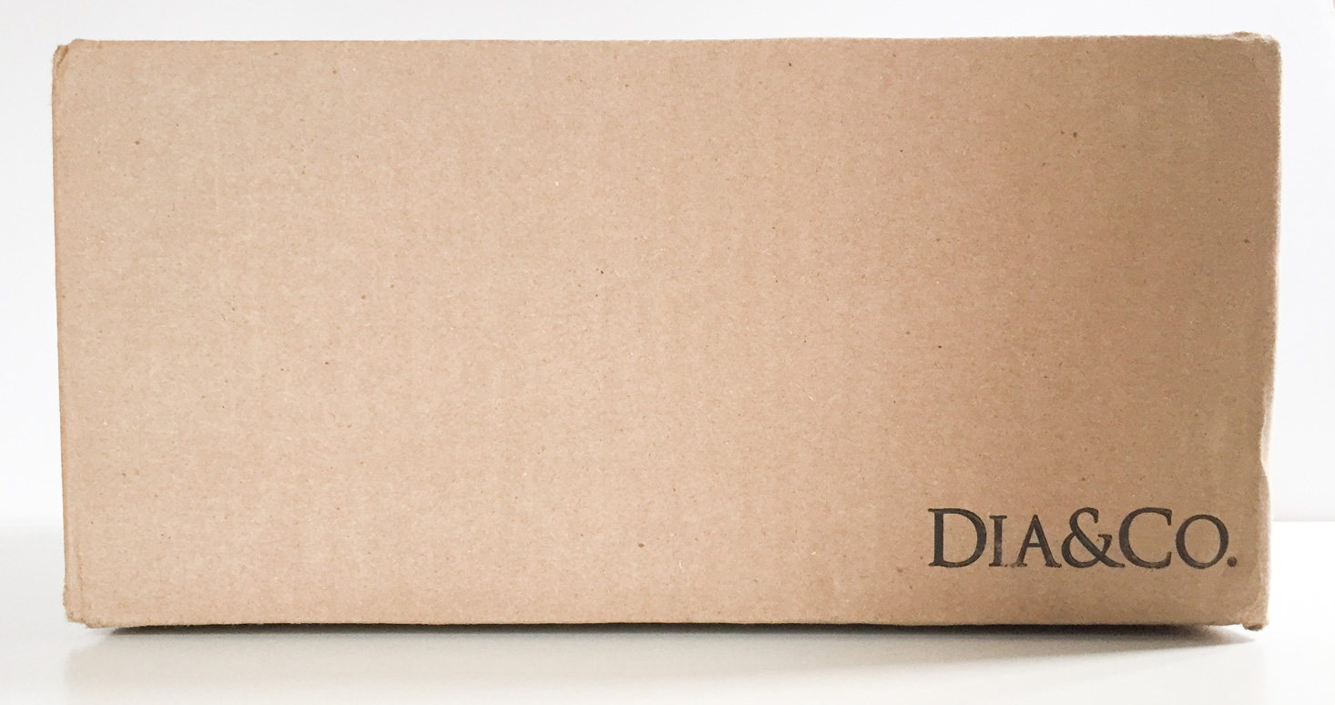 Dia & Co. Clothing Subscription Box Review – March 2017