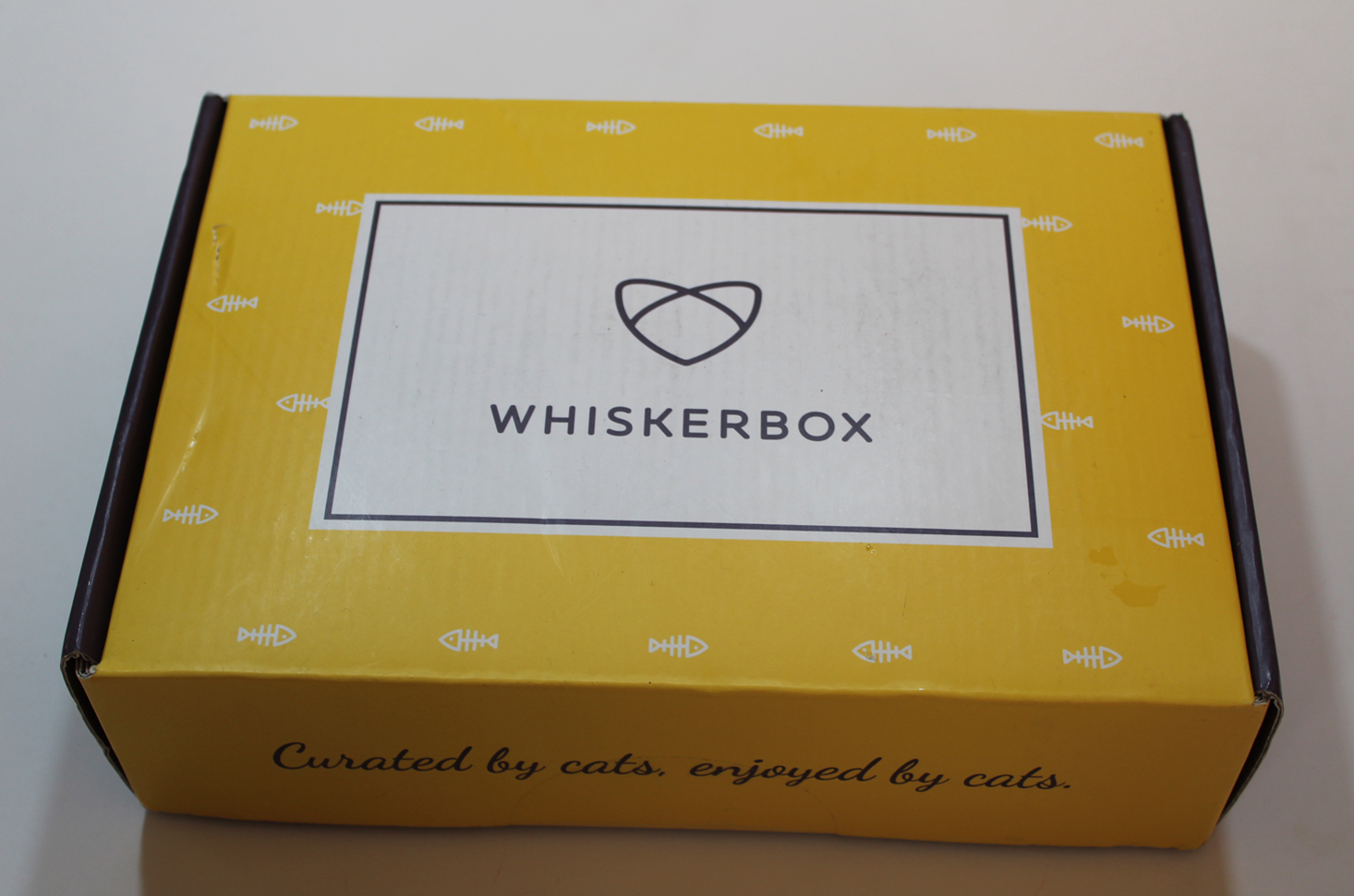 whiskerbox-march-2017-box