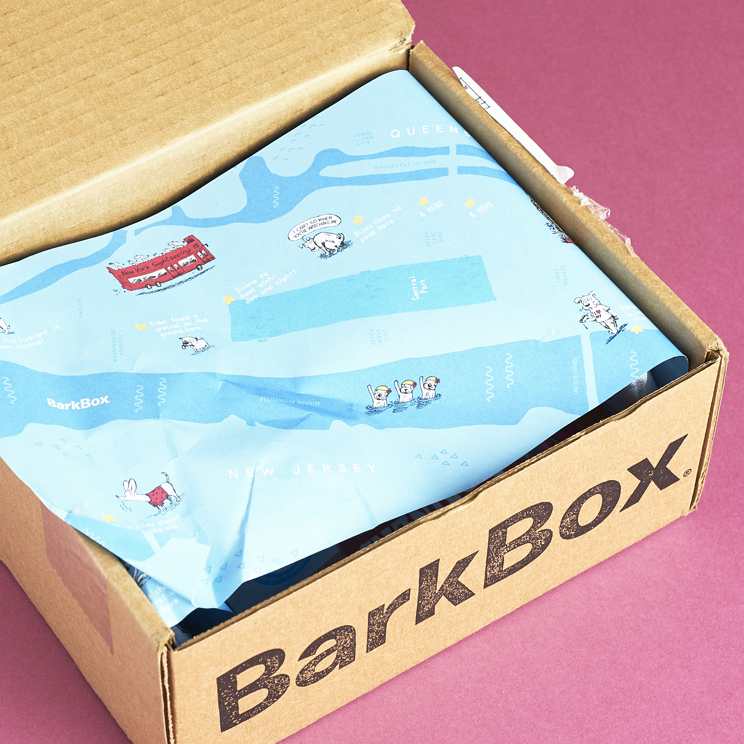 Barkbox-April-2017-0002