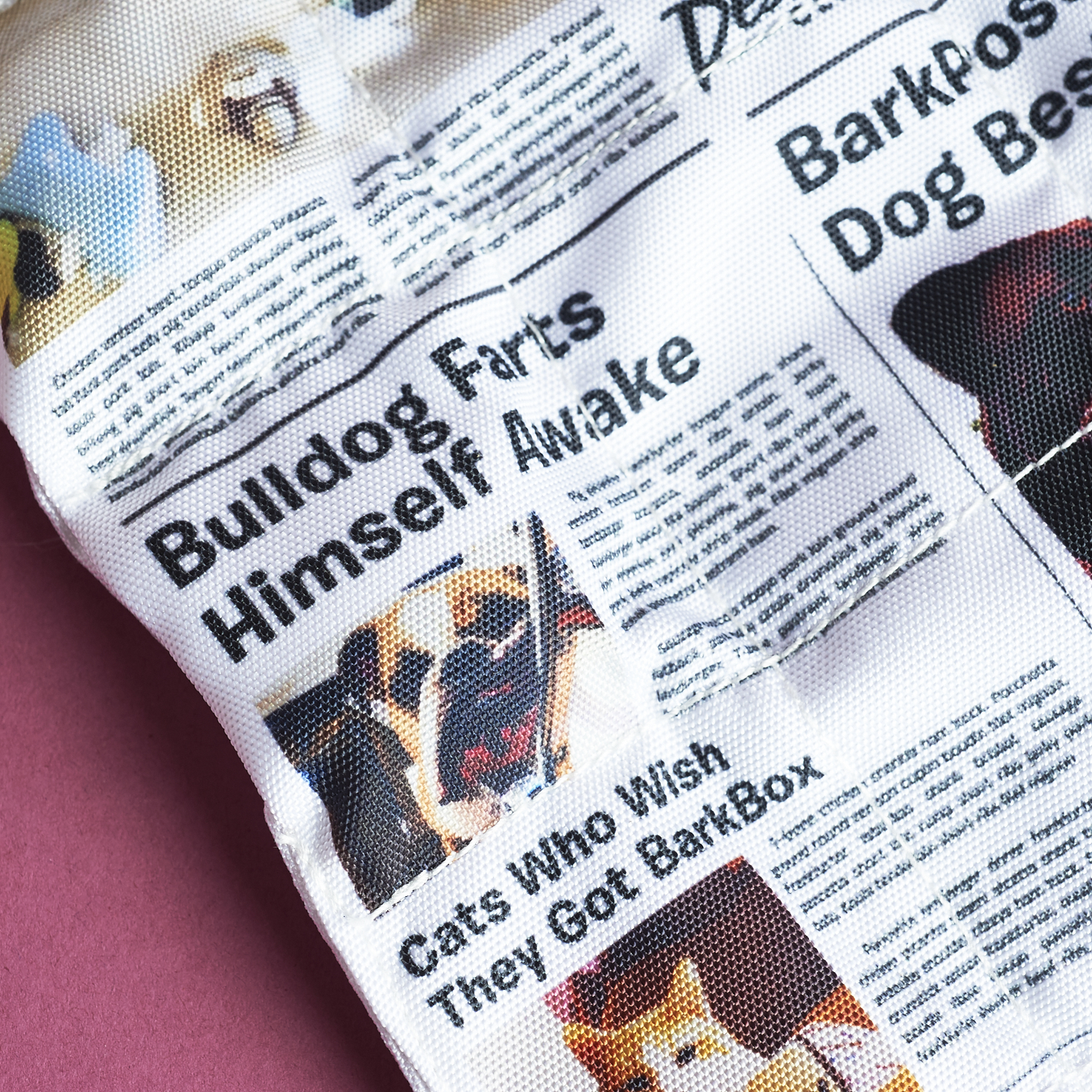 Barkbox-April-2017-0009