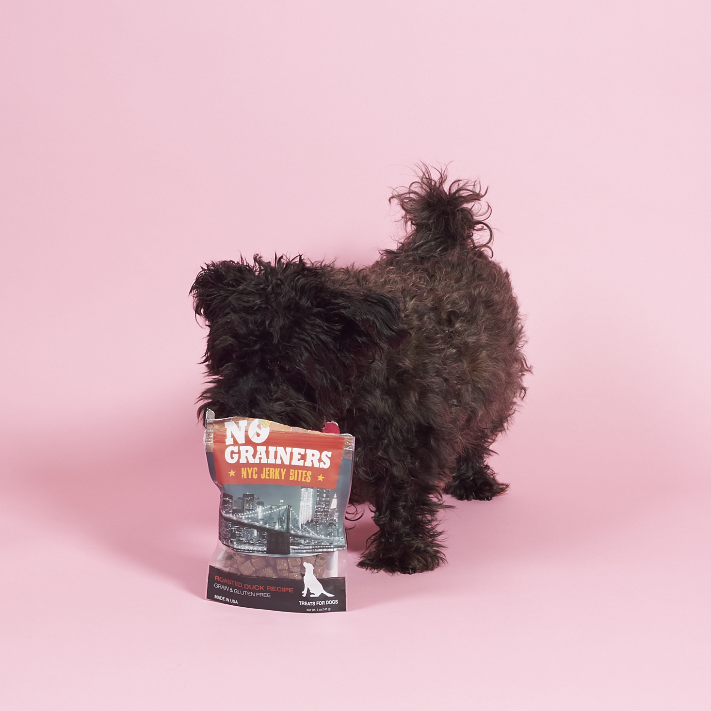 Barkbox-April-2017-0021