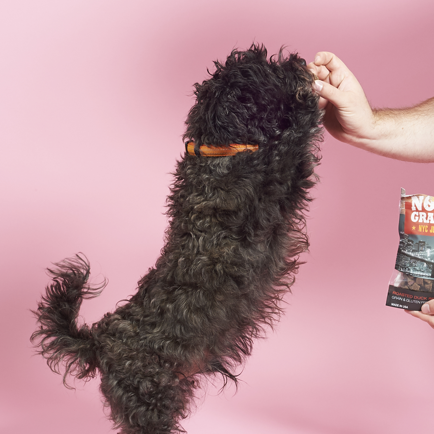 Barkbox-April-2017-0022