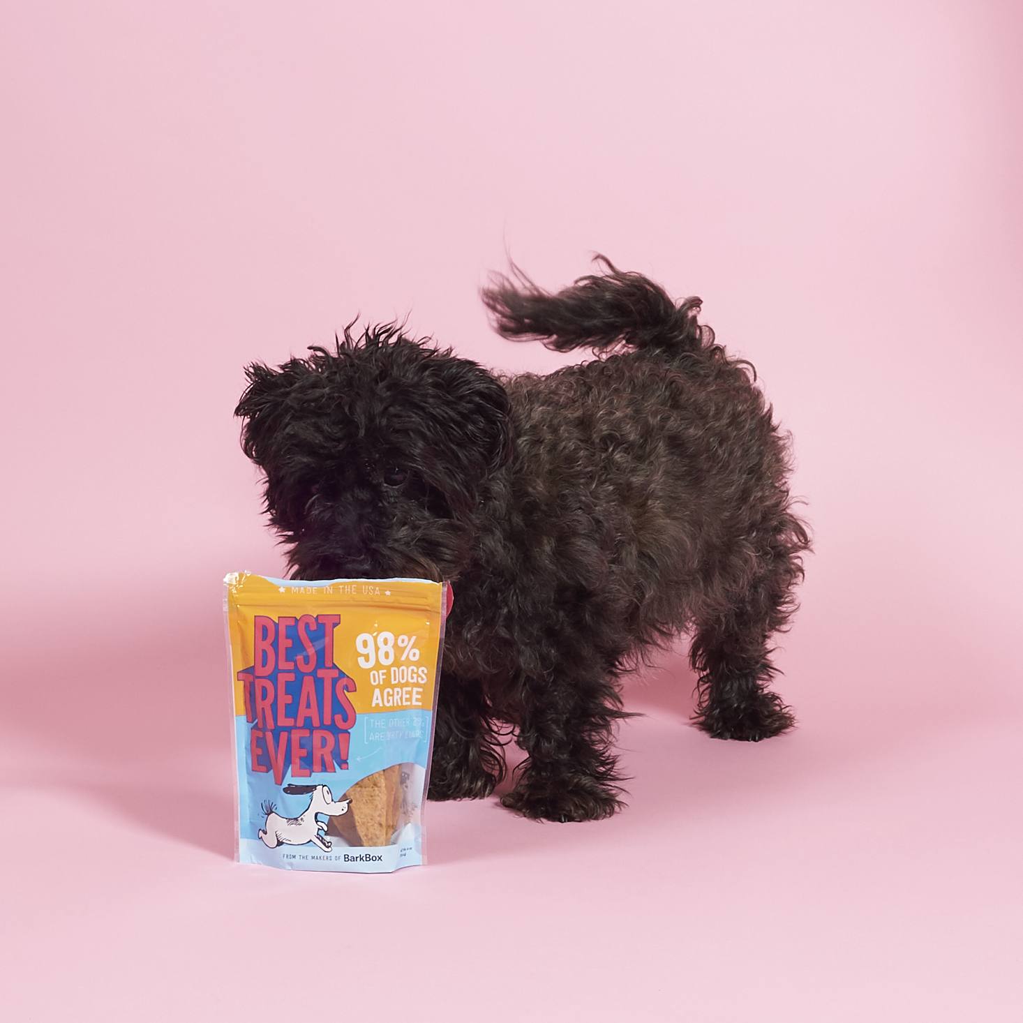 Barkbox-April-2017-0023