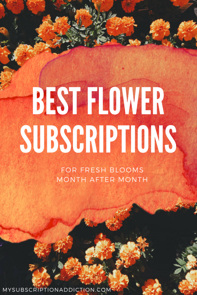 Bestflower subscriptions