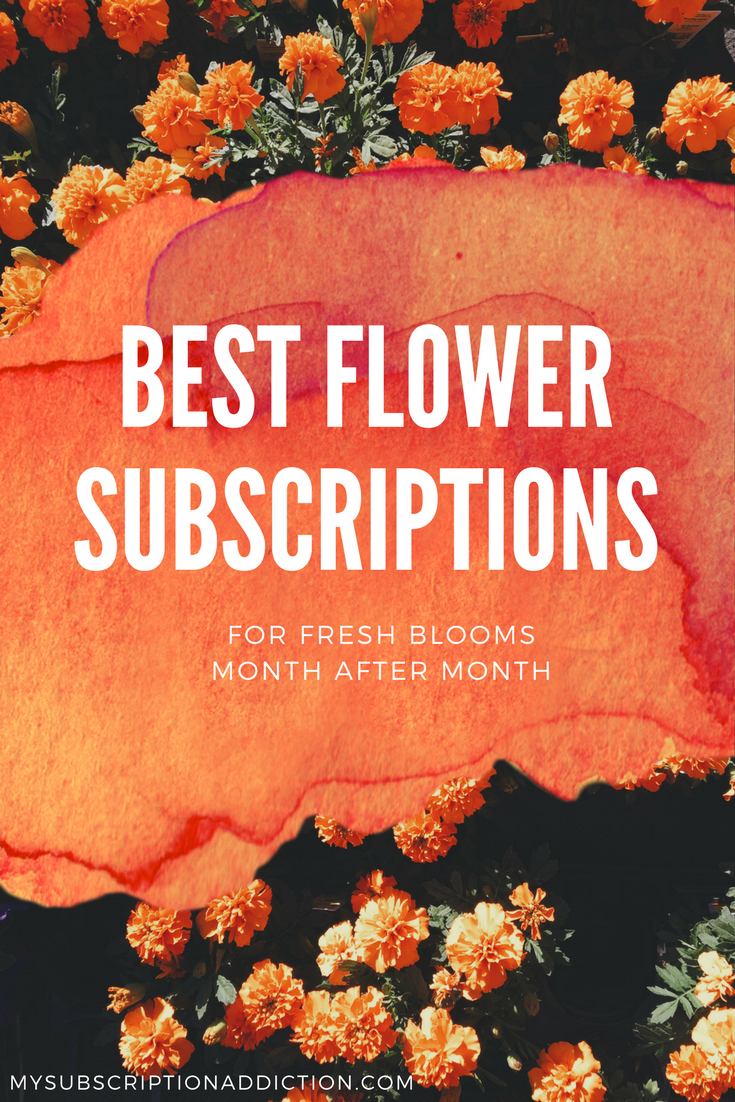 Best Floral & Fresh Flower Subscription Services and Boxes MSA